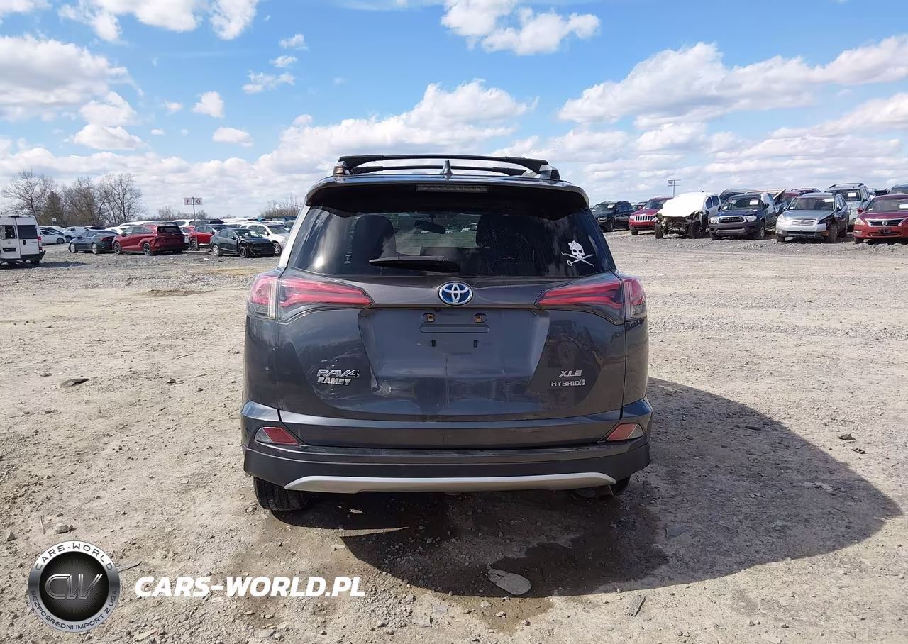 2016 Toyota Rav4 Hybrid Xle VIN:JTMRJREV4GD035284 - 17