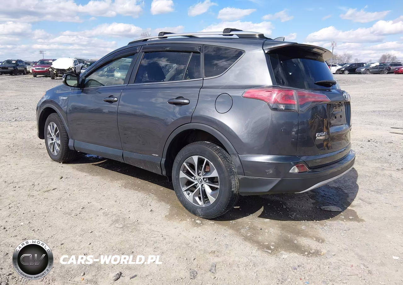 2016 Toyota Rav4 Hybrid Xle VIN:JTMRJREV4GD035284 - 3