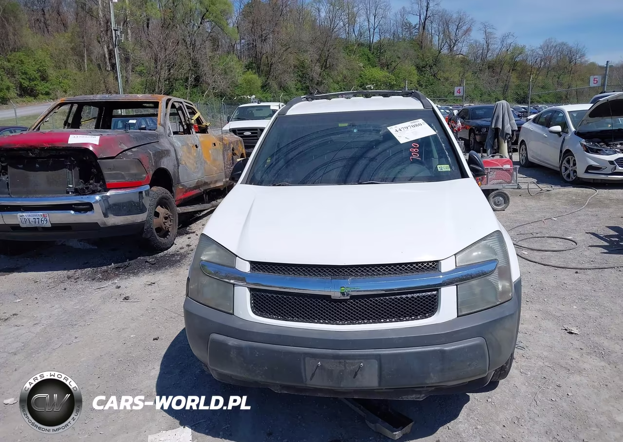 2005 Chevrolet Equinox Ls VIN:2CNDL13F056184462 - 12