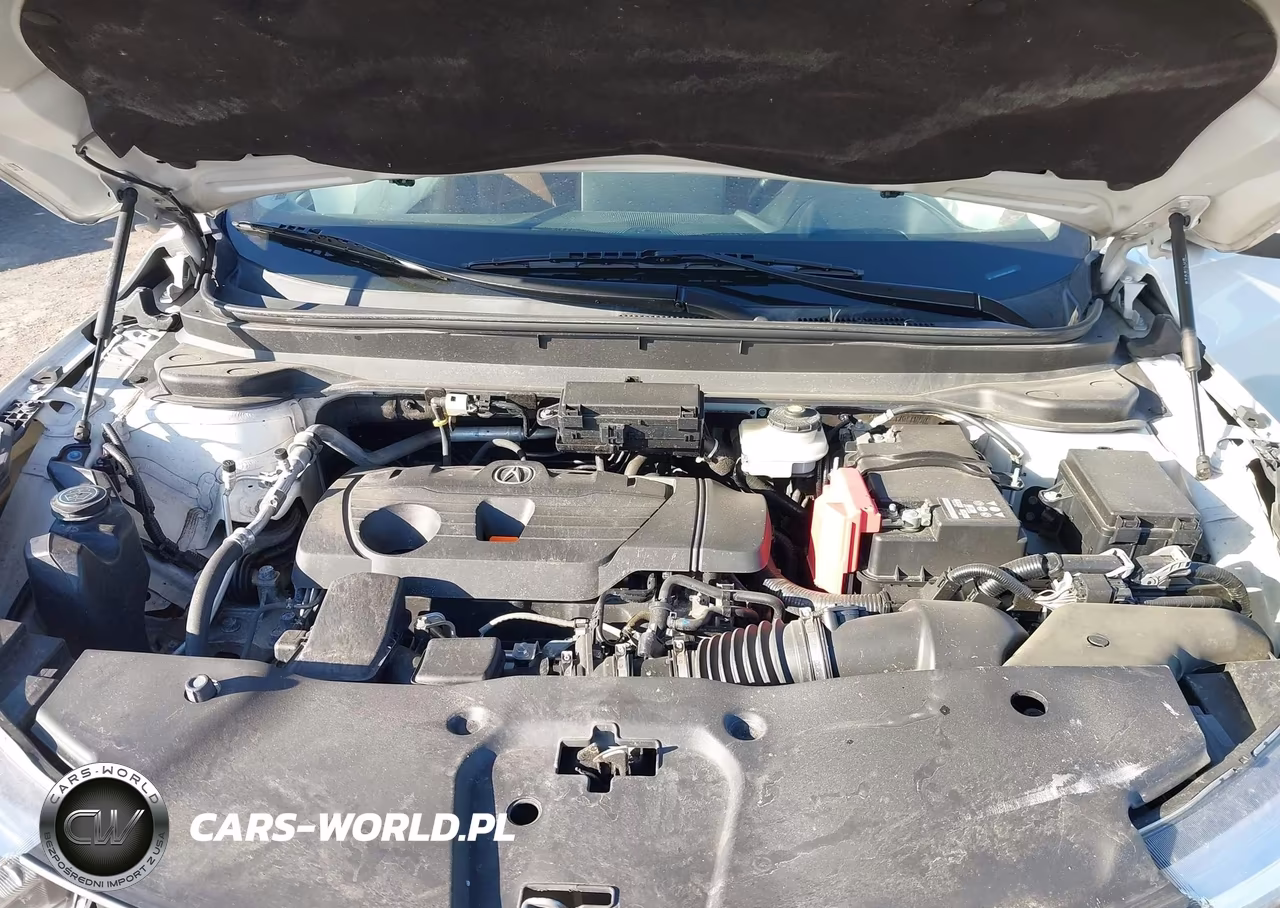 2019 Acura Rdx Advance Package VIN:5J8TC2H78KL004110 - 10