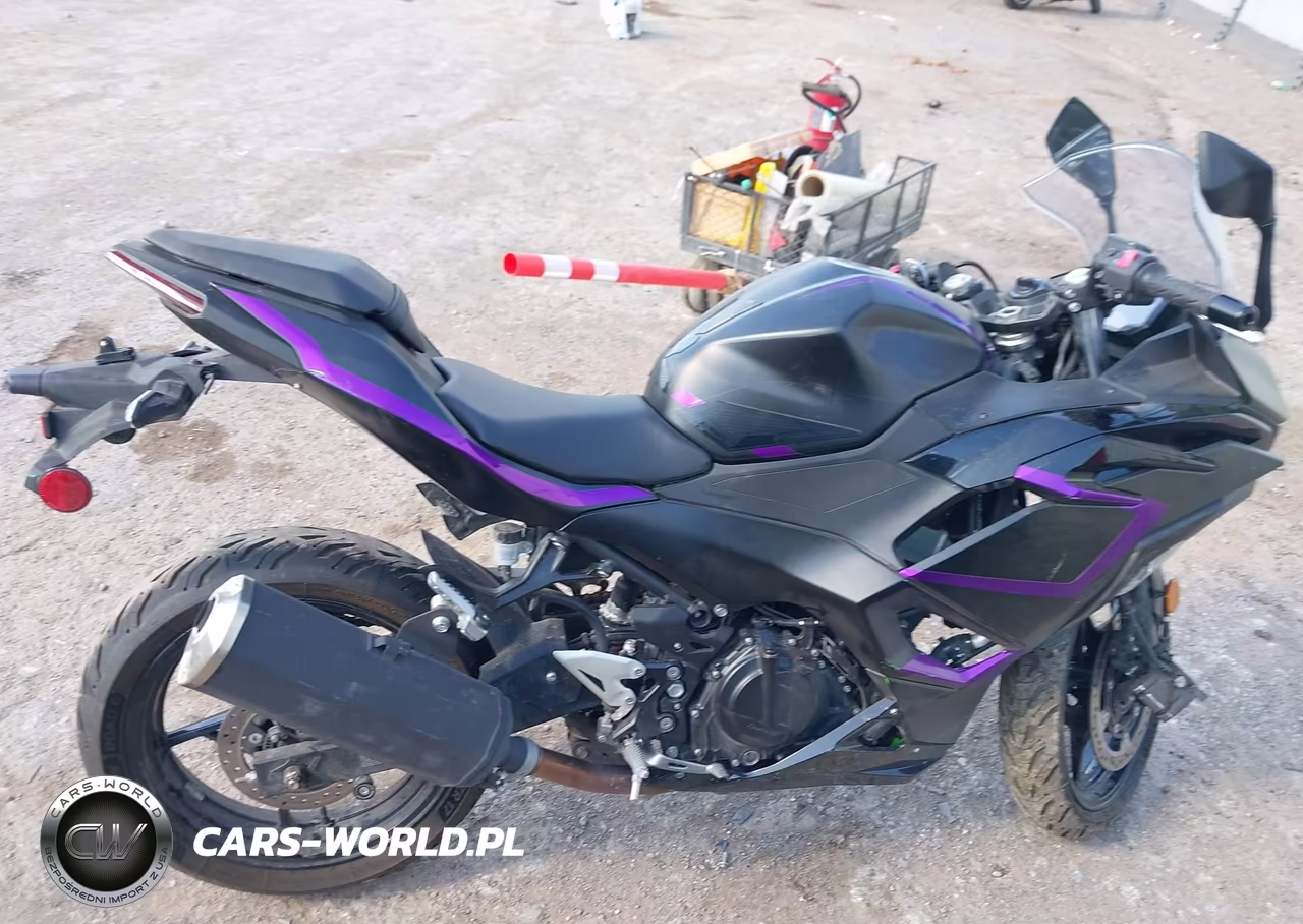 2025 Kawasaki Ex500 A-B VIN:ML5EXGJ15SDA50239 - 12