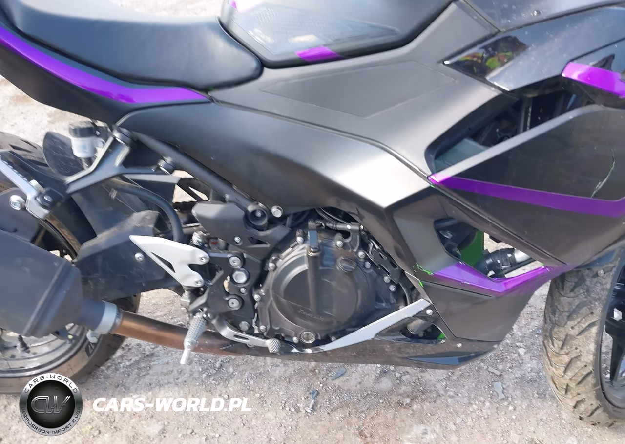 2025 Kawasaki Ex500 A-B VIN:ML5EXGJ15SDA50239 - 8