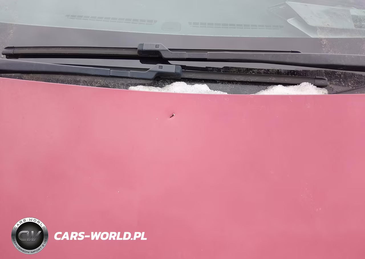 2020 Chevrolet Bolt Ev Fwd Premier VIN:1G1FZ6S04L4120728 - 6