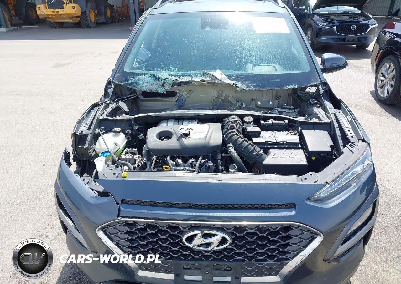 2019 Hyundai Kona Ultimate VIN:KM8K5CA55KU236365 - 10