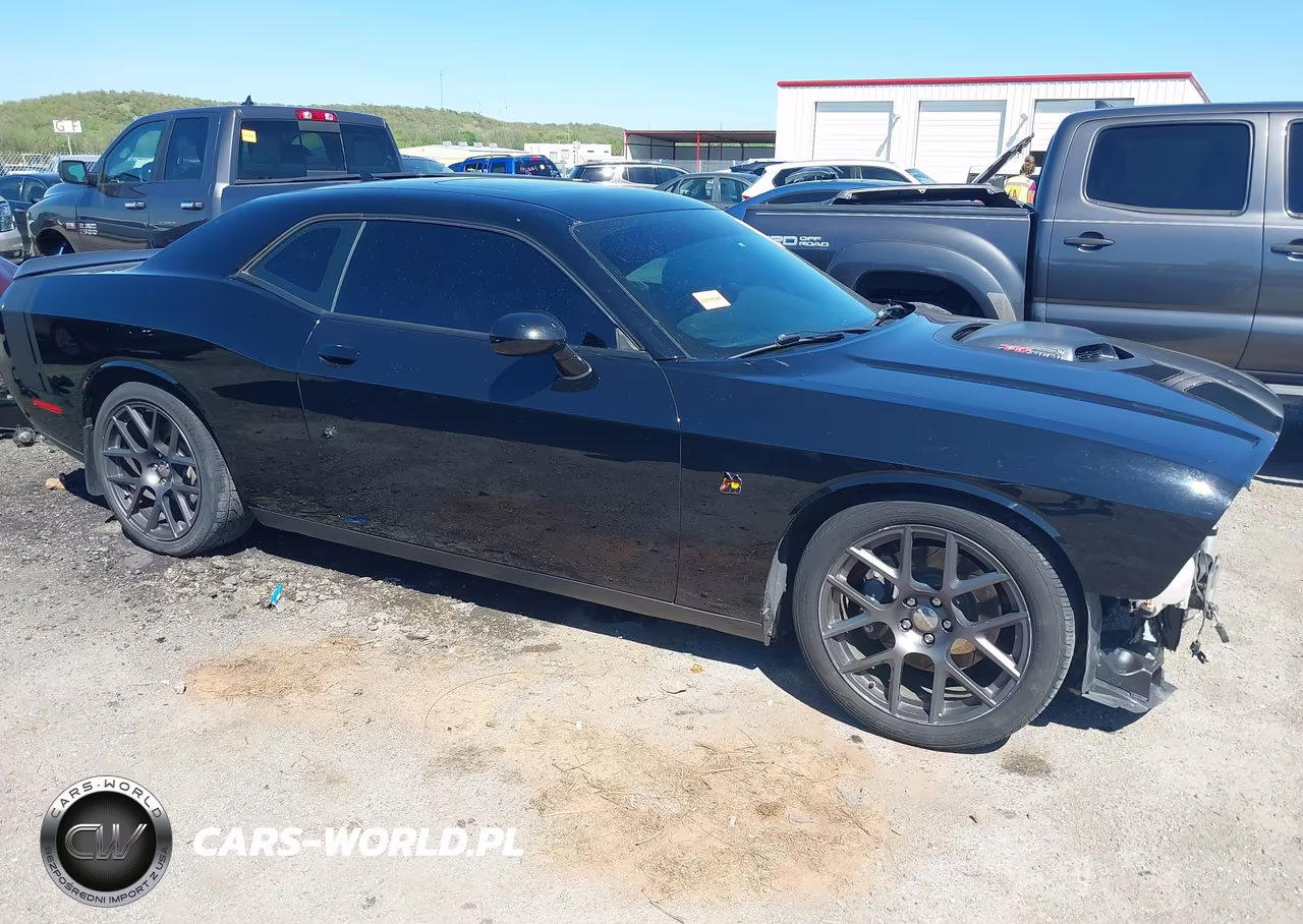2016 Dodge Challenger 392 Hemi Scat Pack Shaker VIN:2C3CDZFJ1GH249648 - 14