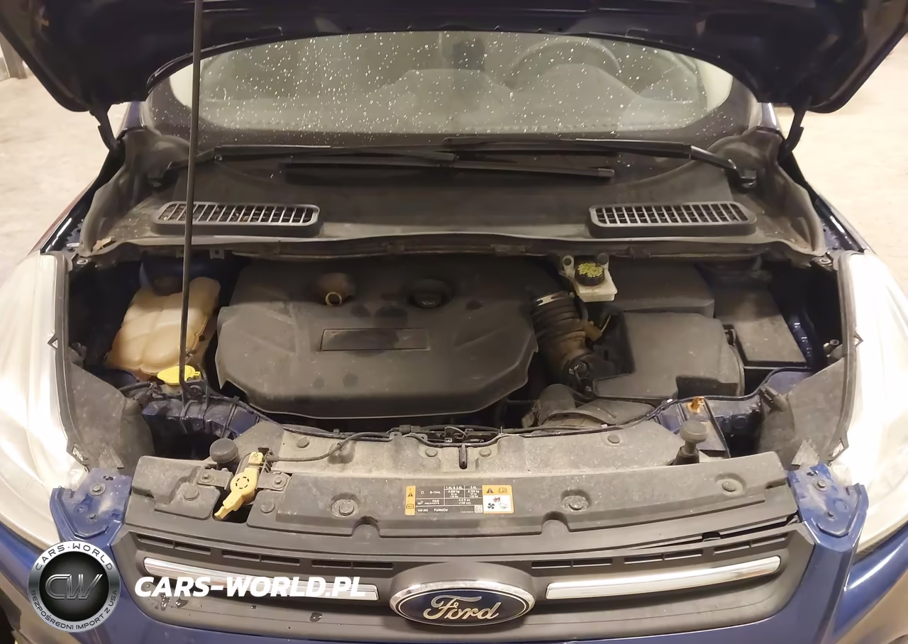 2015 Ford Escape Se VIN:1FMCU9G95FUC72115 - 10