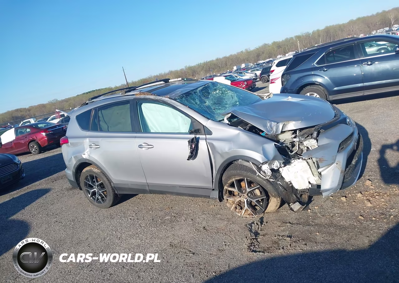 2016 Toyota Rav4 Se VIN:2T3JFREV6GW529003 - 13