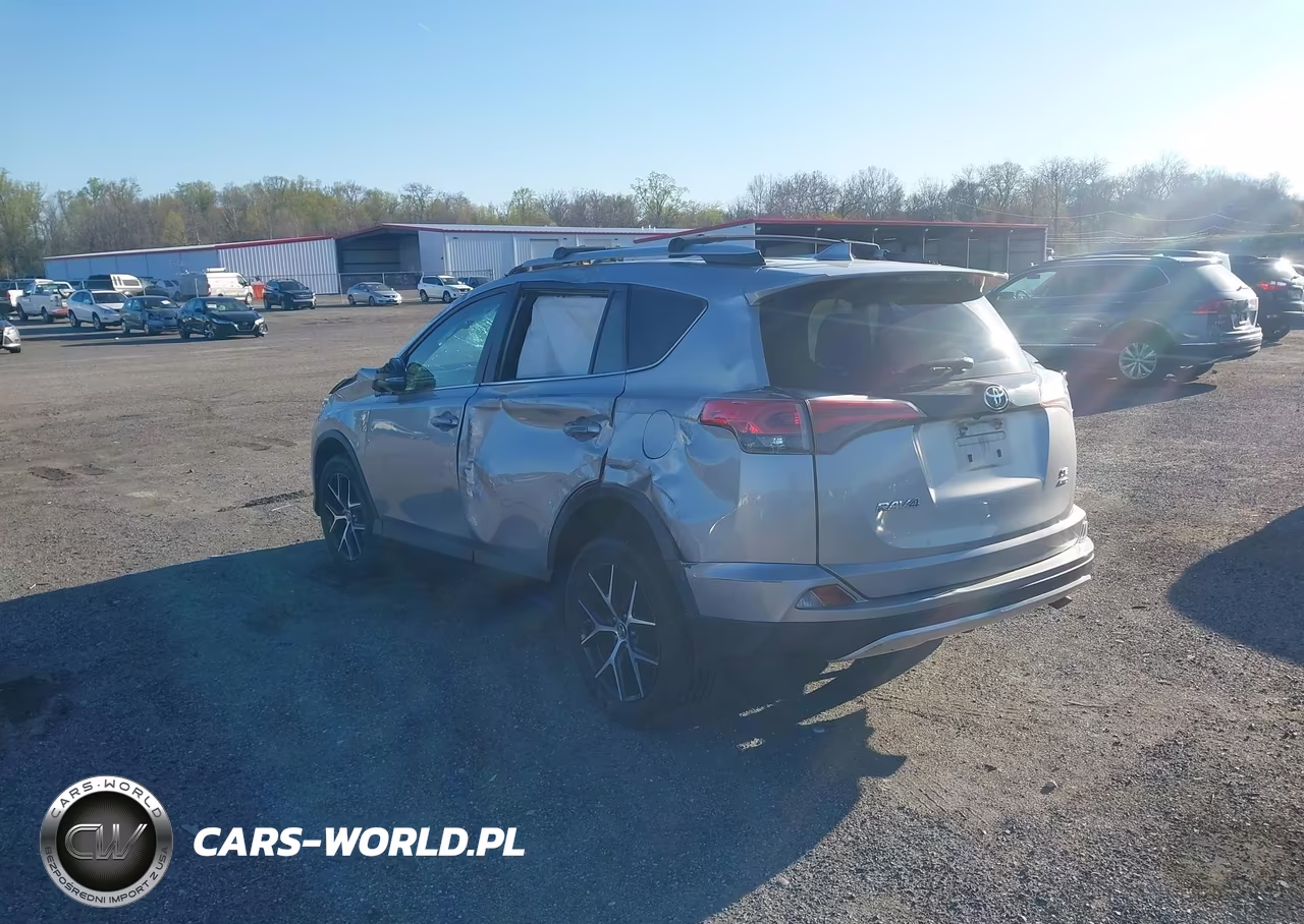 2016 Toyota Rav4 Se VIN:2T3JFREV6GW529003 - 3
