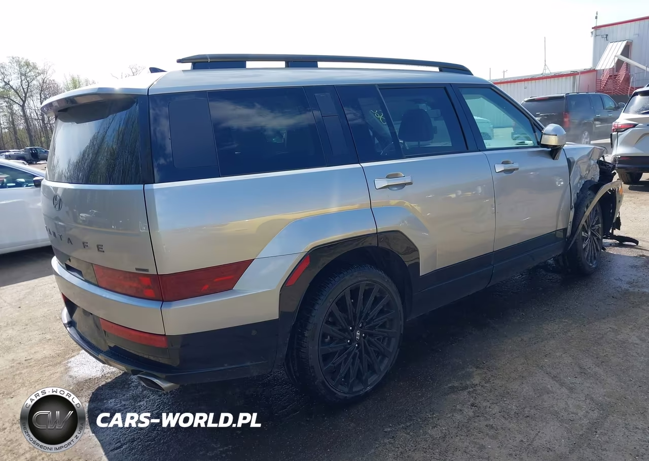 2024 Hyundai Santa Fe Calligraphy VIN:5NMP5DGL2RH038642 - 4