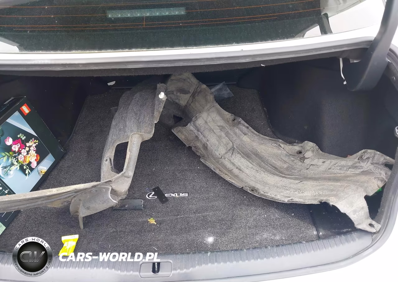 2019 Lexus Is 300 VIN:JTHBA1D23K5098274 - 12