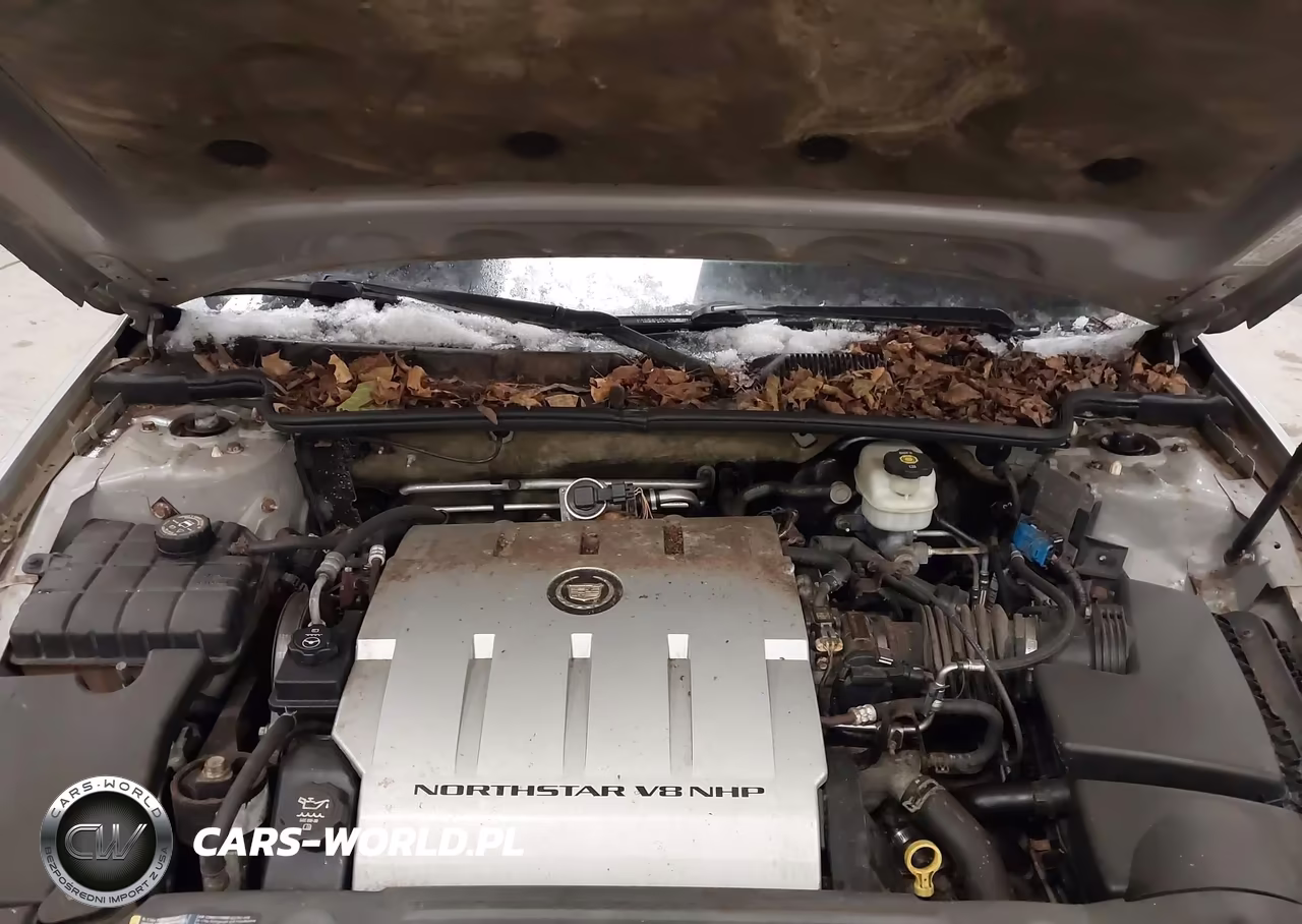 2006 Cadillac Dts Performance VIN:1G6KD579X6U112727 - 10