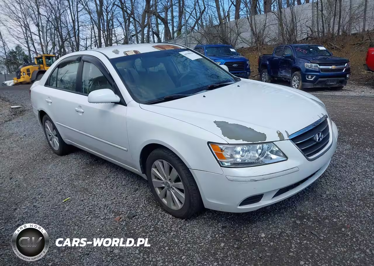 2010 Hyundai Sonata Gls
