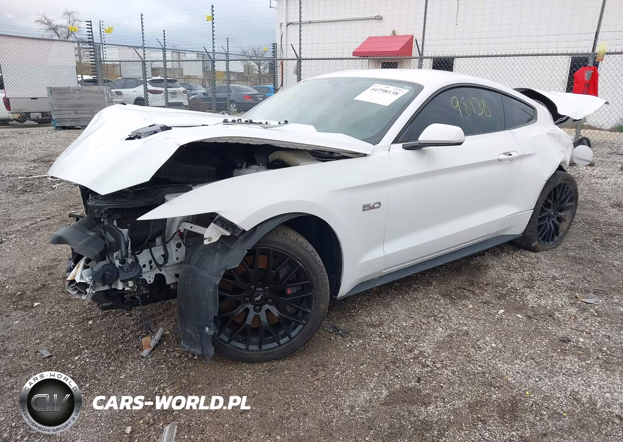 2015 Ford Mustang Gt VIN:1FA6P8CF8F5361899 - 2