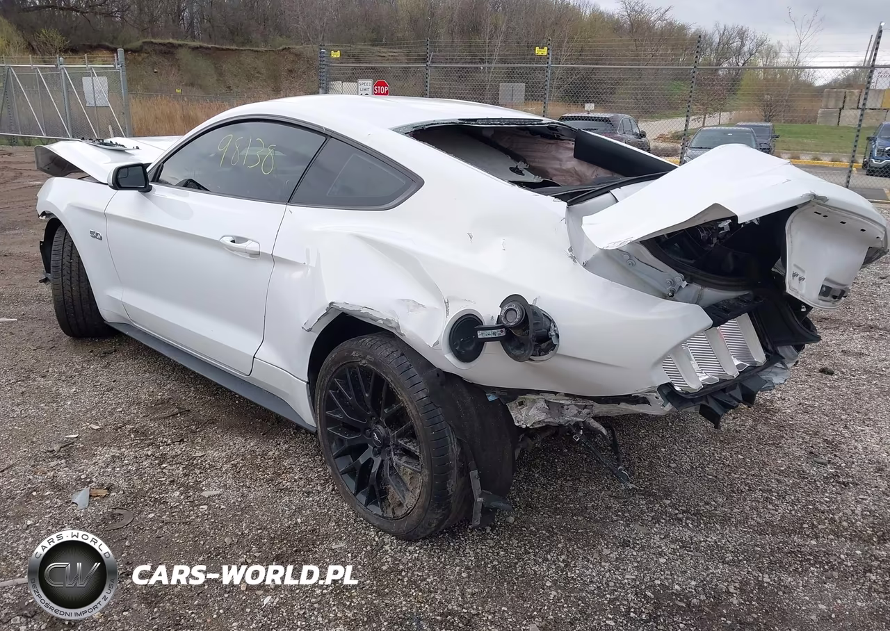 2015 Ford Mustang Gt VIN:1FA6P8CF8F5361899 - 3