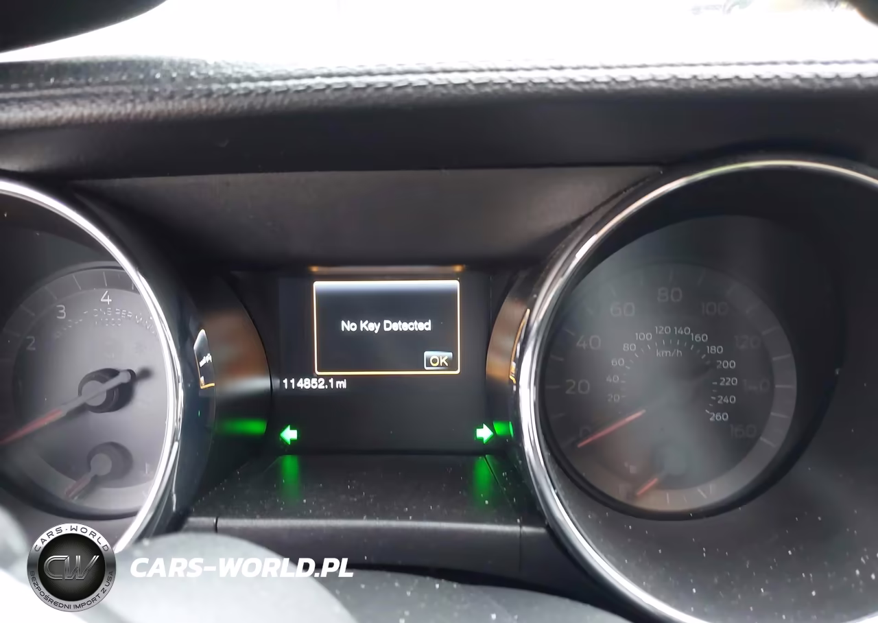 2015 Ford Mustang Gt VIN:1FA6P8CF8F5361899 - 7