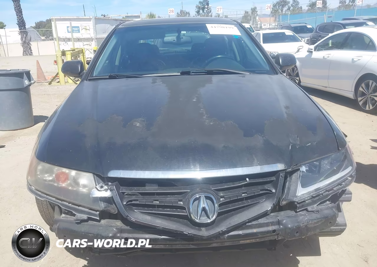 2004 Acura Tsx VIN:JH4CL96954C016499 - 12