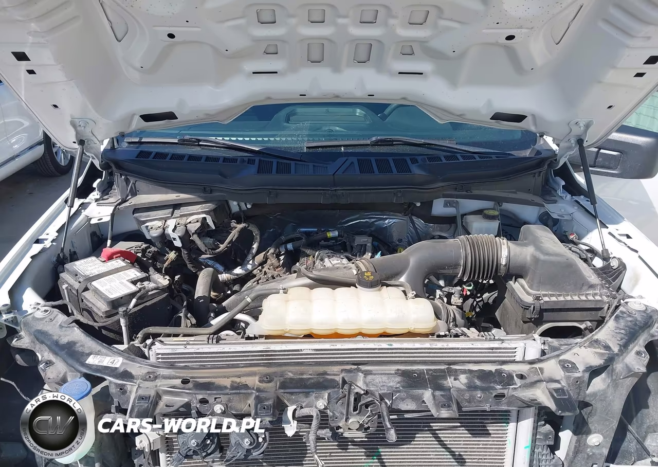 2023 Ford F-150 Xl VIN:1FTEW1CP4PKF31669 - 10