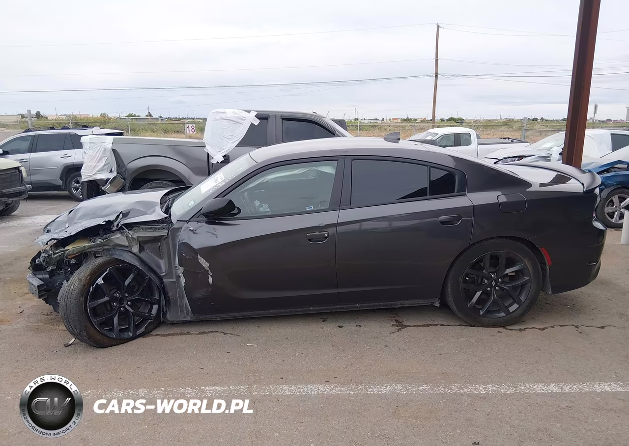 2019 Dodge Charger Gt Rwd VIN:2C3CDXHG9KH743769 - 15