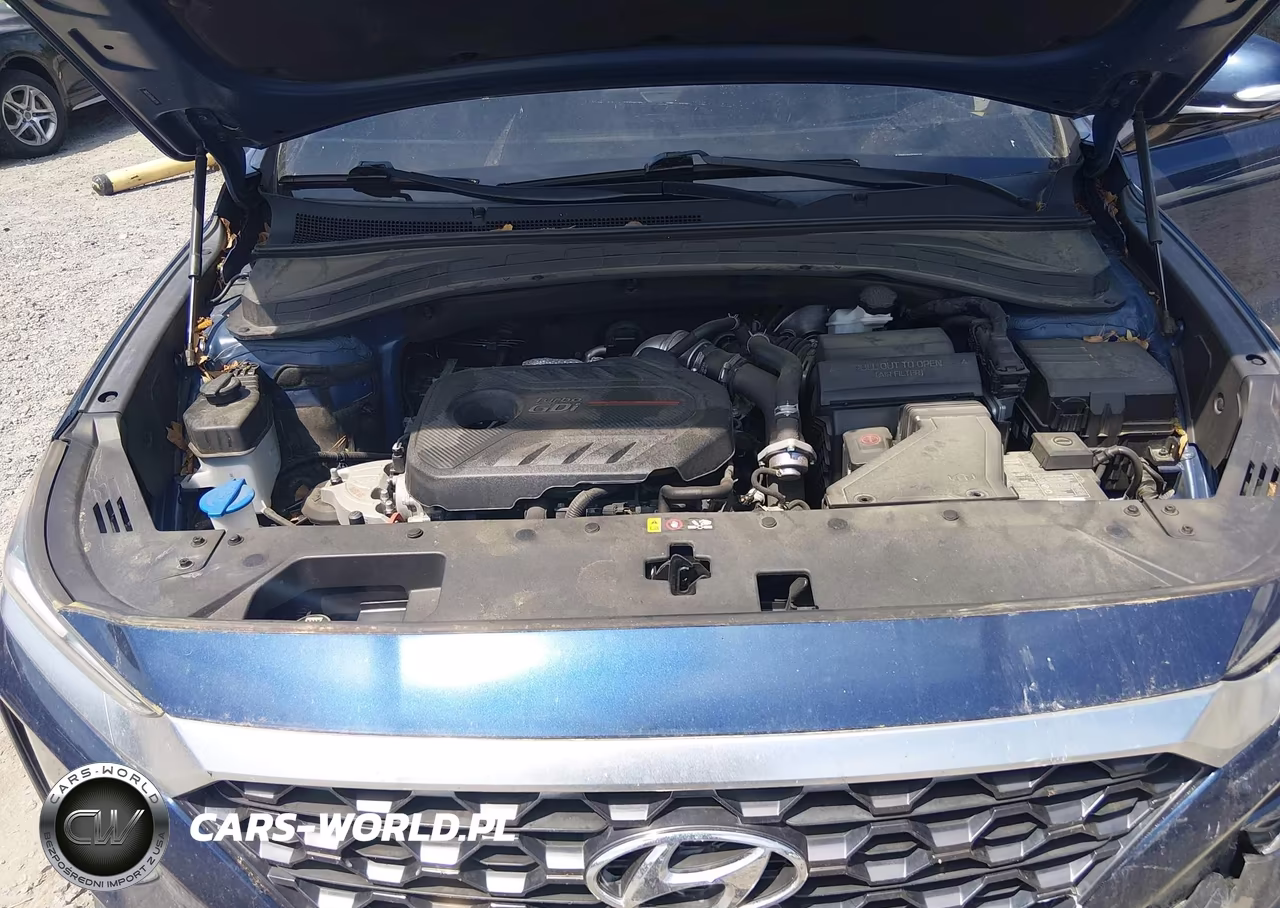2019 Hyundai Santa Fe Ultimate 2.0T VIN:5NMS53AA7KH067104 - 10