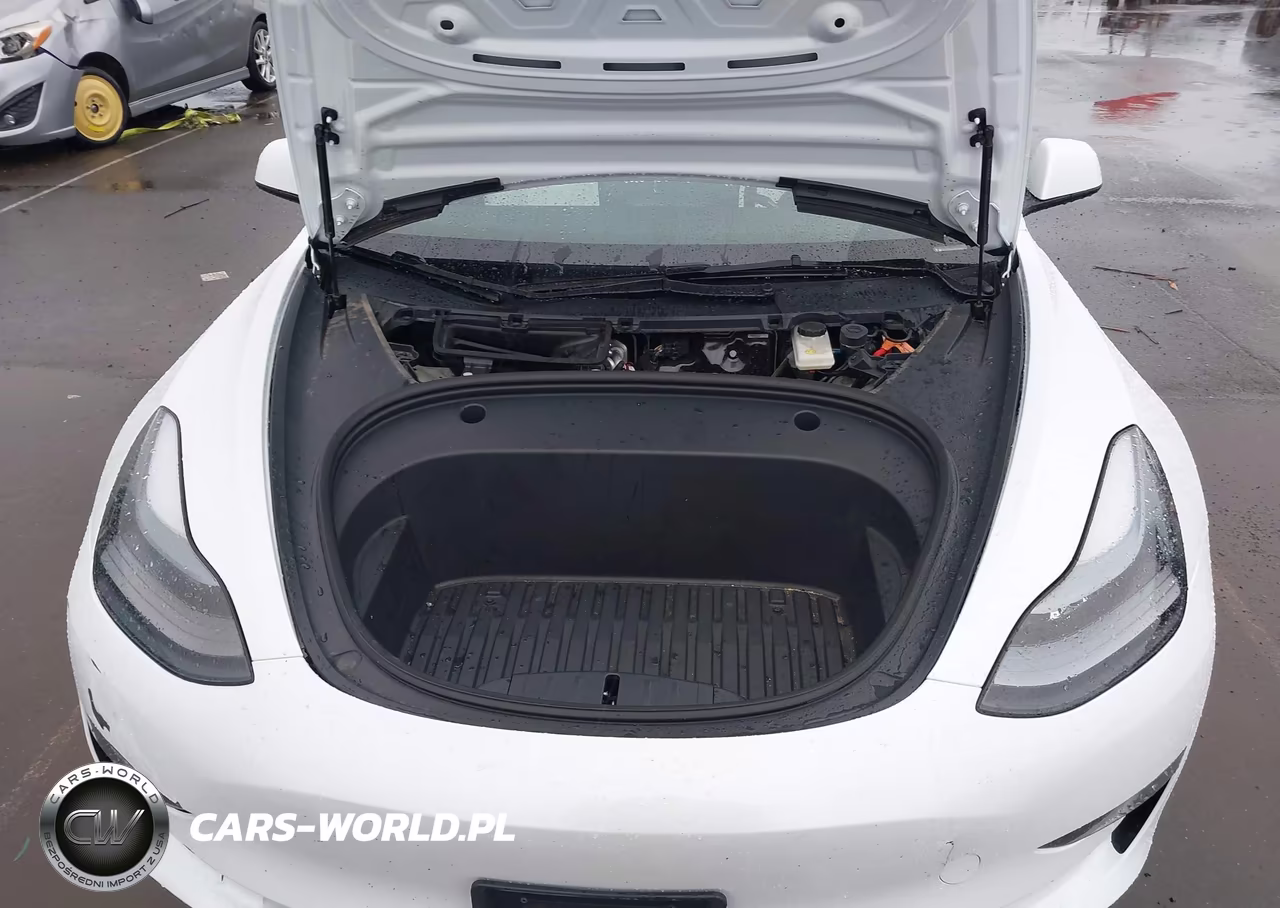 2023 Tesla Model 3 Rear-Wheel Drive VIN:5YJ3E1EAXPF654182 - 10