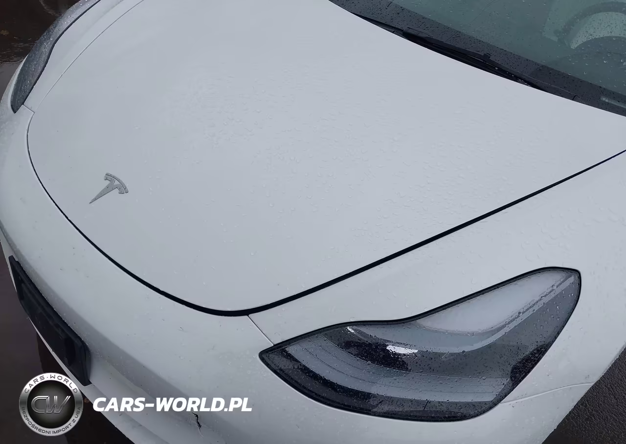 2023 Tesla Model 3 Rear-Wheel Drive VIN:5YJ3E1EAXPF654182 - 12
