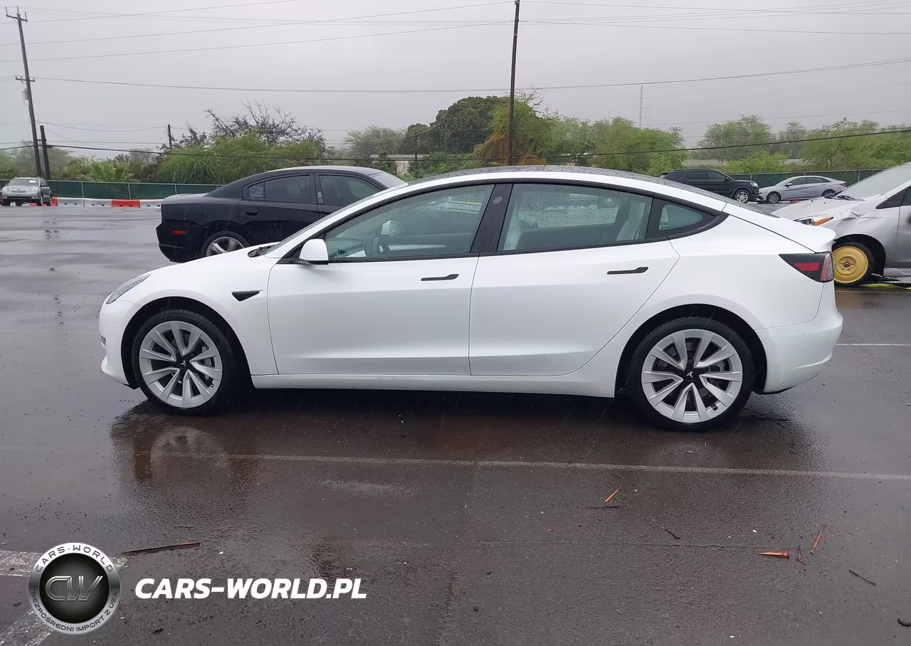 2023 Tesla Model 3 Rear-Wheel Drive VIN:5YJ3E1EAXPF654182 - 15