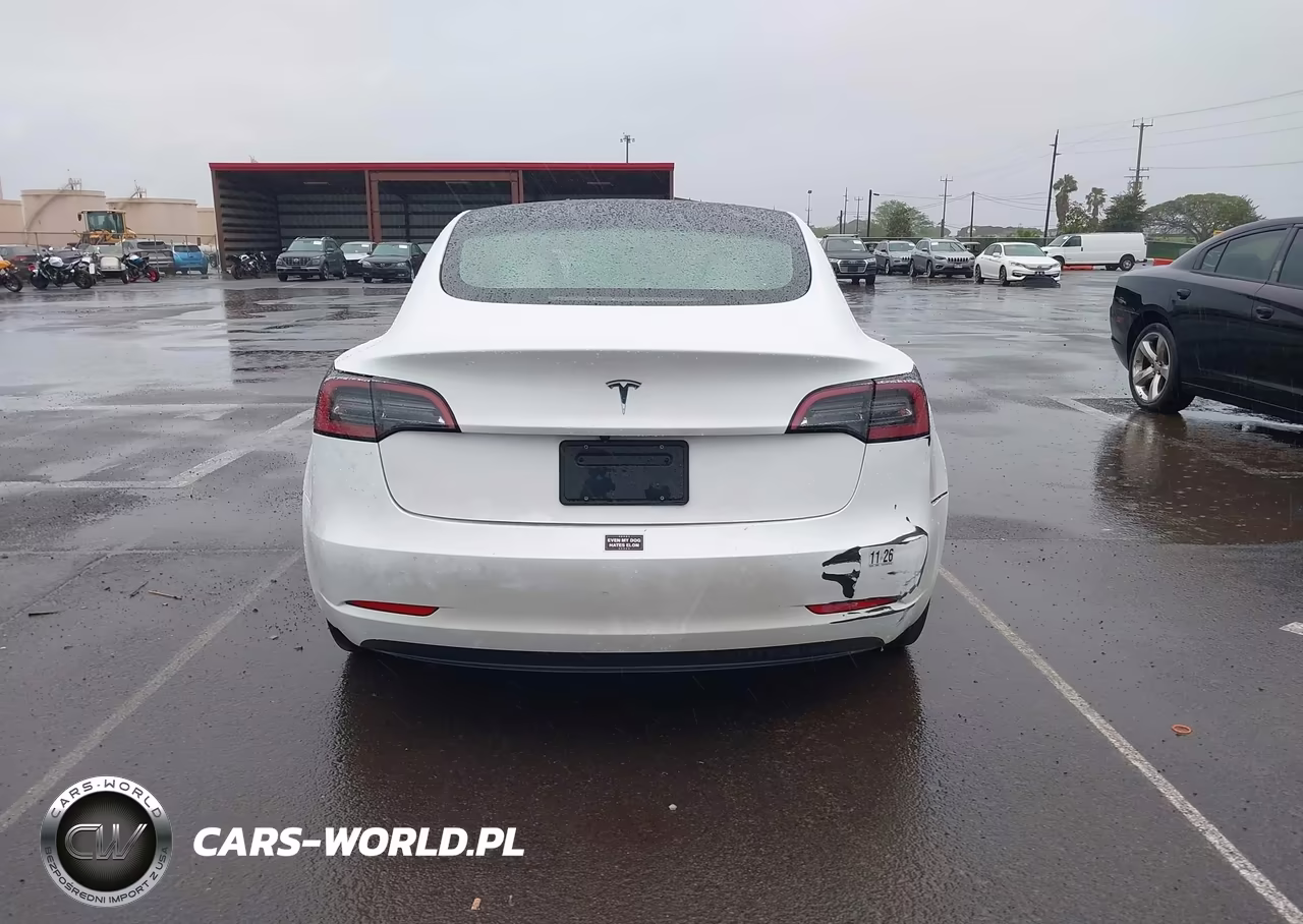 2023 Tesla Model 3 Rear-Wheel Drive VIN:5YJ3E1EAXPF654182 - 17