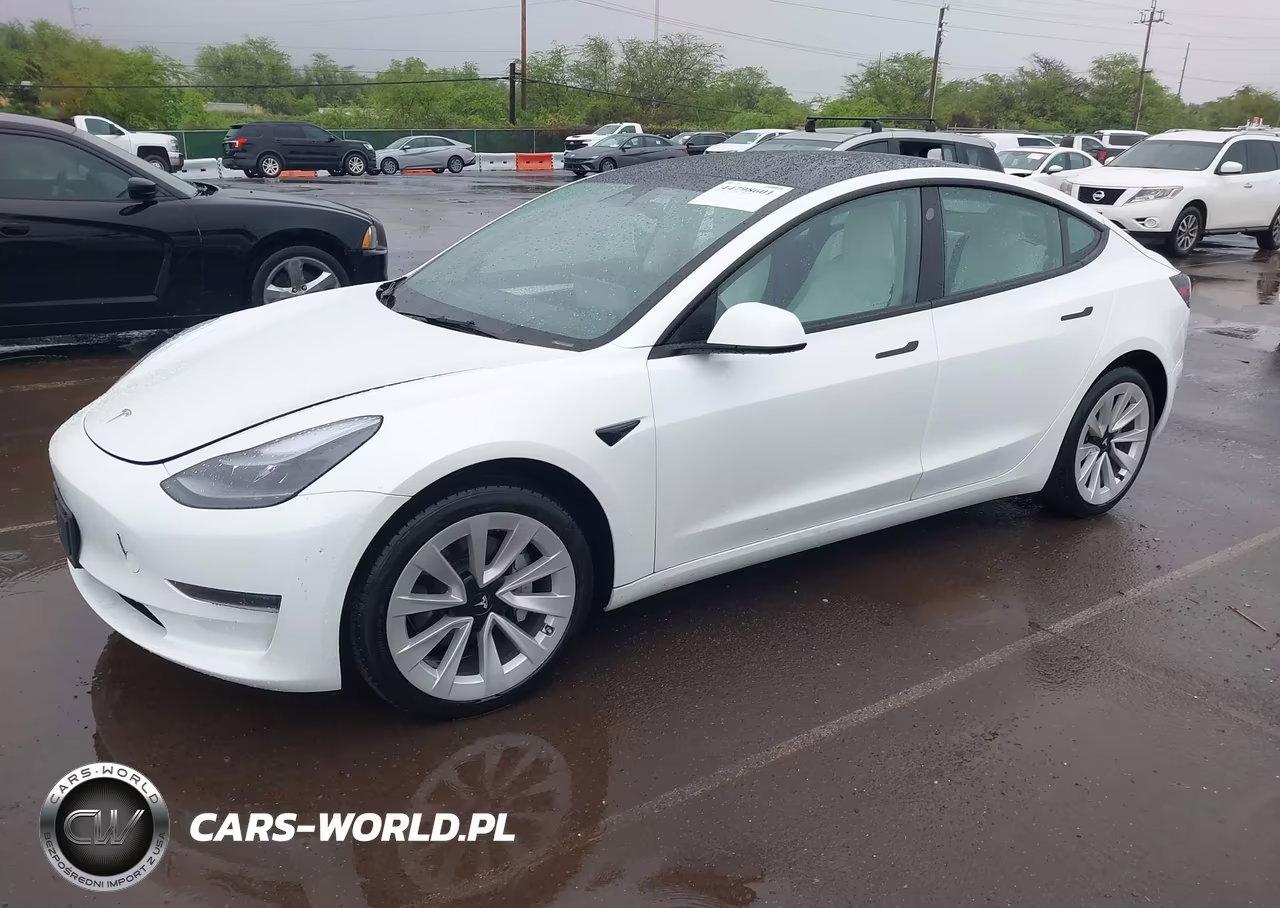 2023 Tesla Model 3 Rear-Wheel Drive VIN:5YJ3E1EAXPF654182 - 2