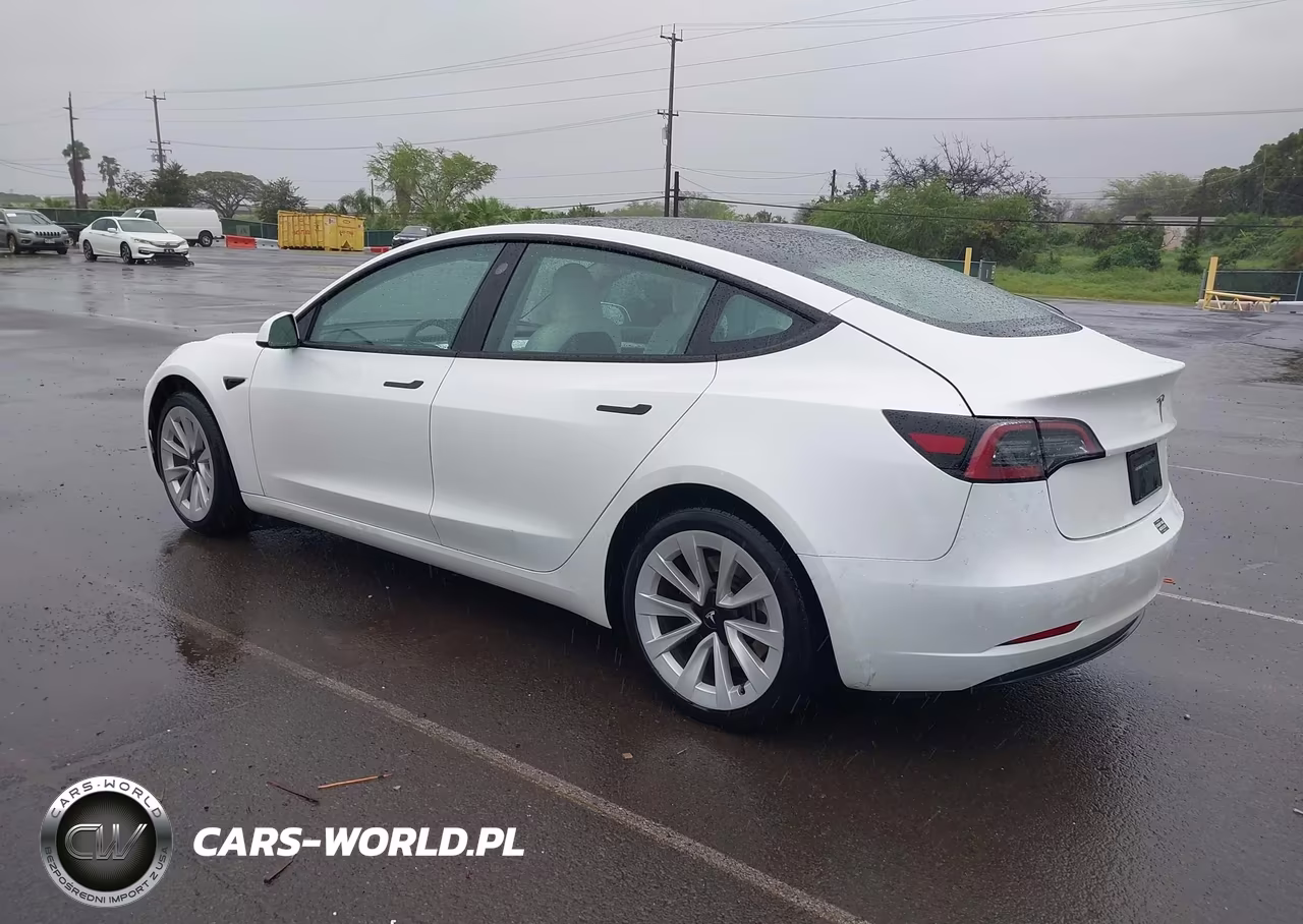 2023 Tesla Model 3 Rear-Wheel Drive VIN:5YJ3E1EAXPF654182 - 3