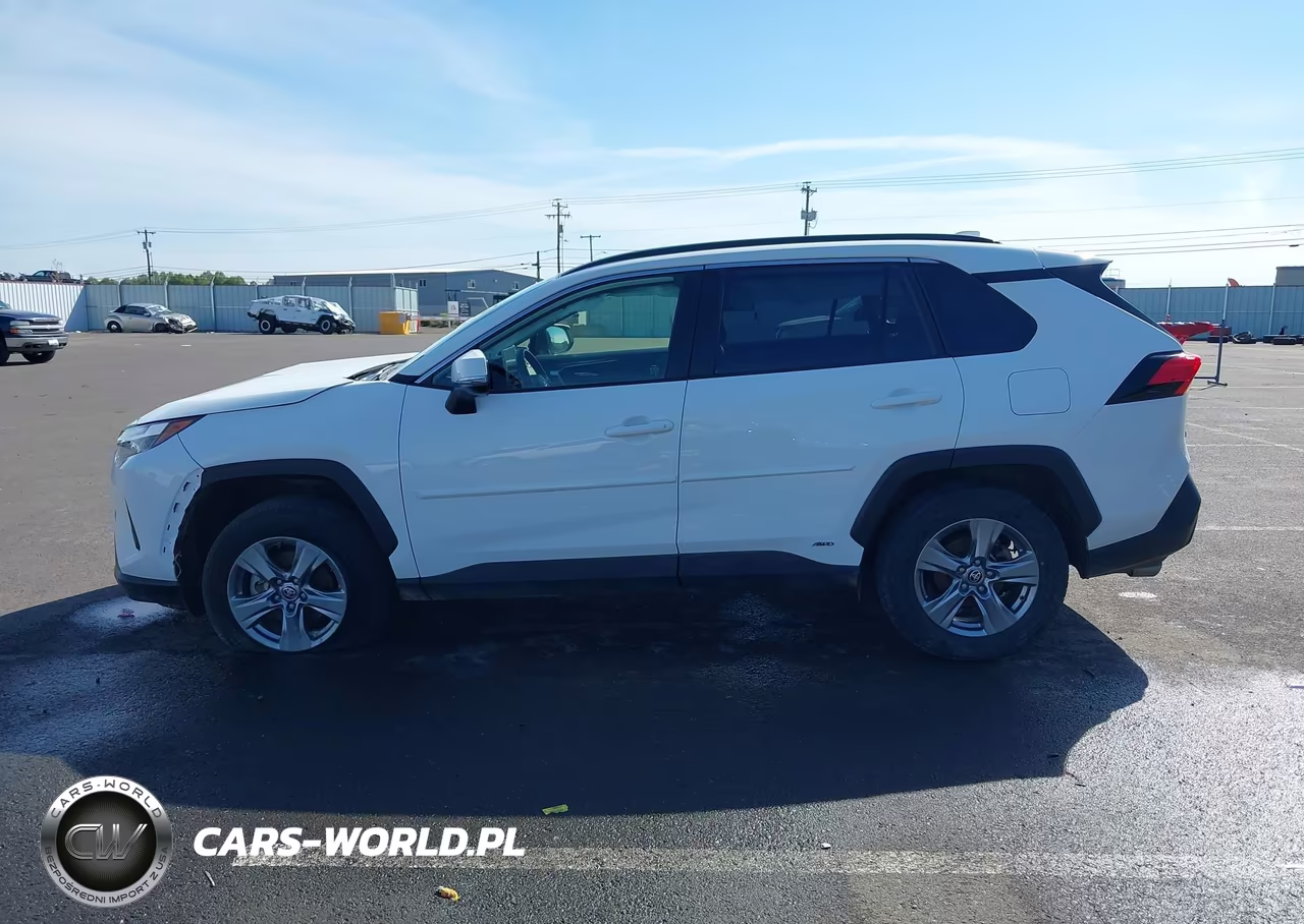 2025 Toyota Rav4 Hybrid Xle VIN:JTMRWRFV5SD304675 - 14