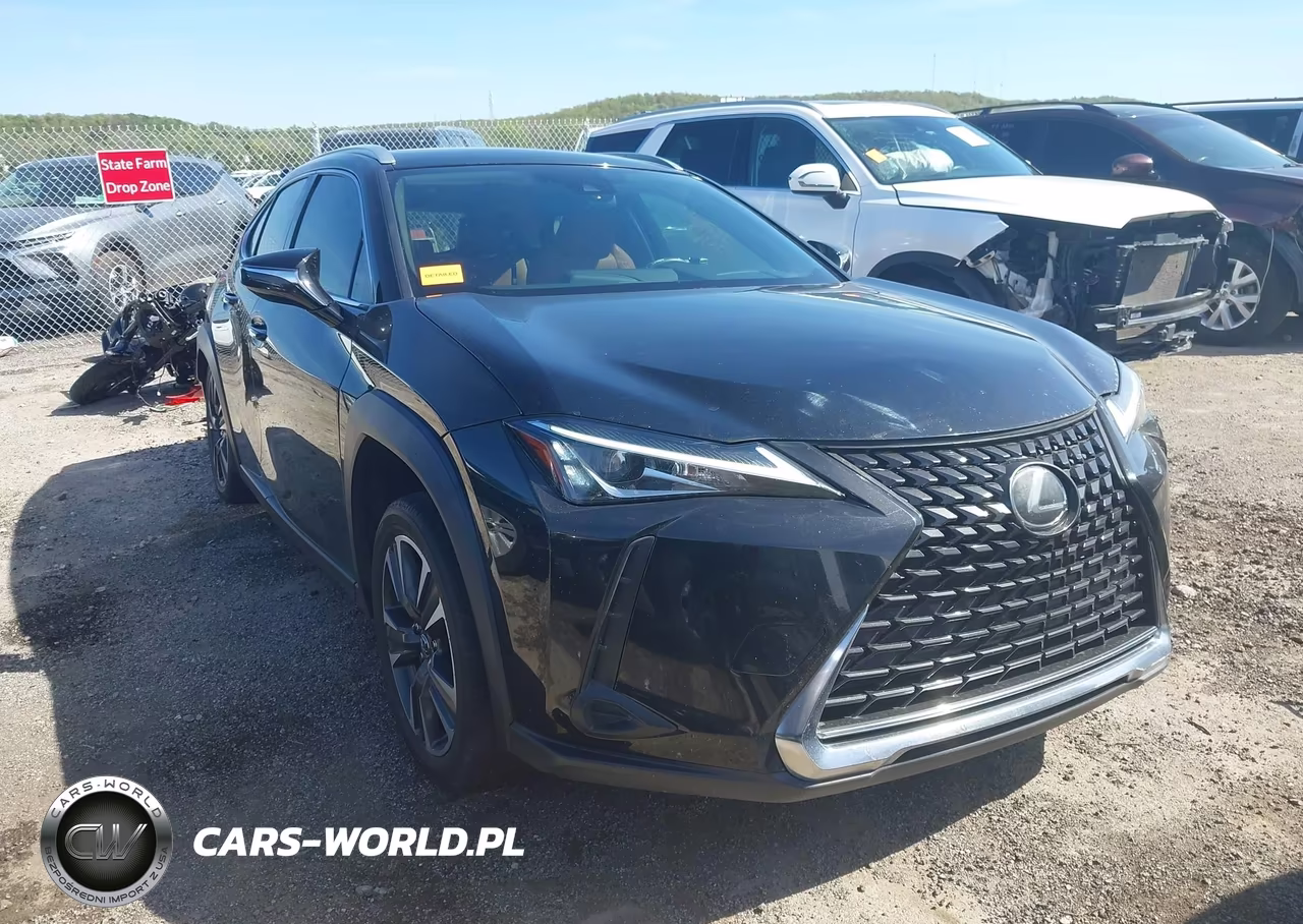 2019 Lexus Ux 200