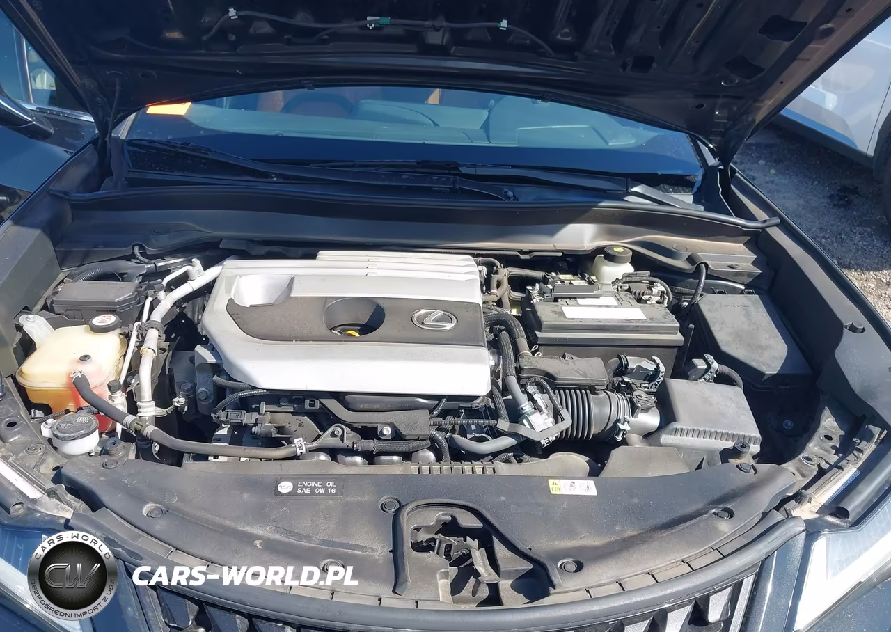 2019 Lexus Ux 200 VIN:JTHY3JBH3K2000941 - 10