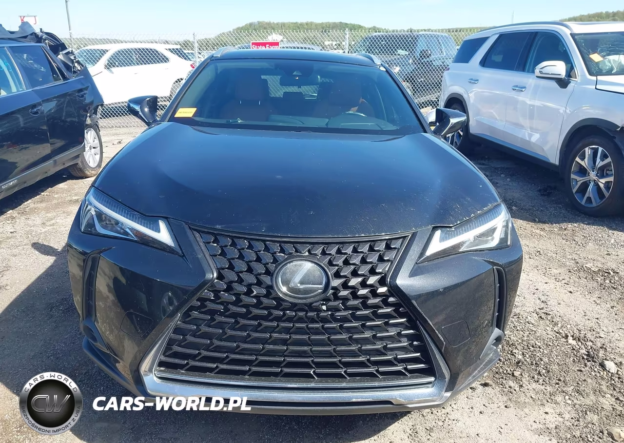 2019 Lexus Ux 200 VIN:JTHY3JBH3K2000941 - 12