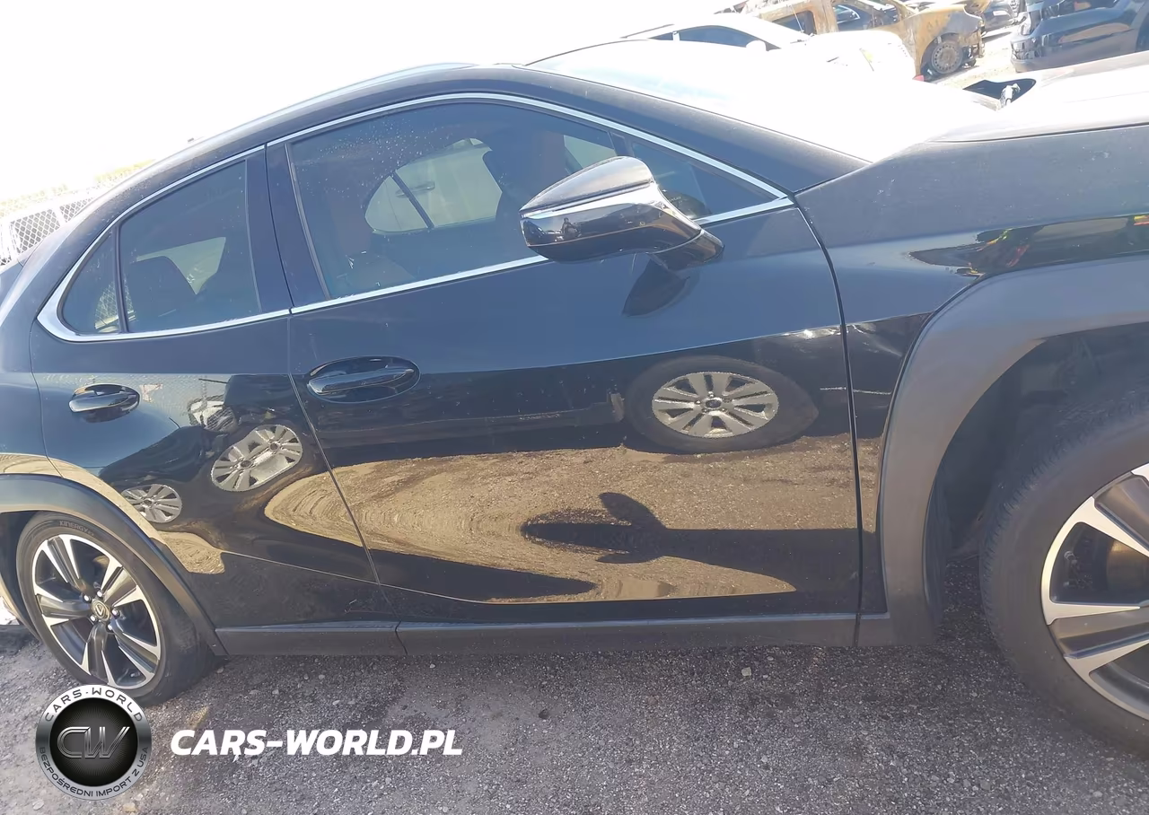 2019 Lexus Ux 200 VIN:JTHY3JBH3K2000941 - 13