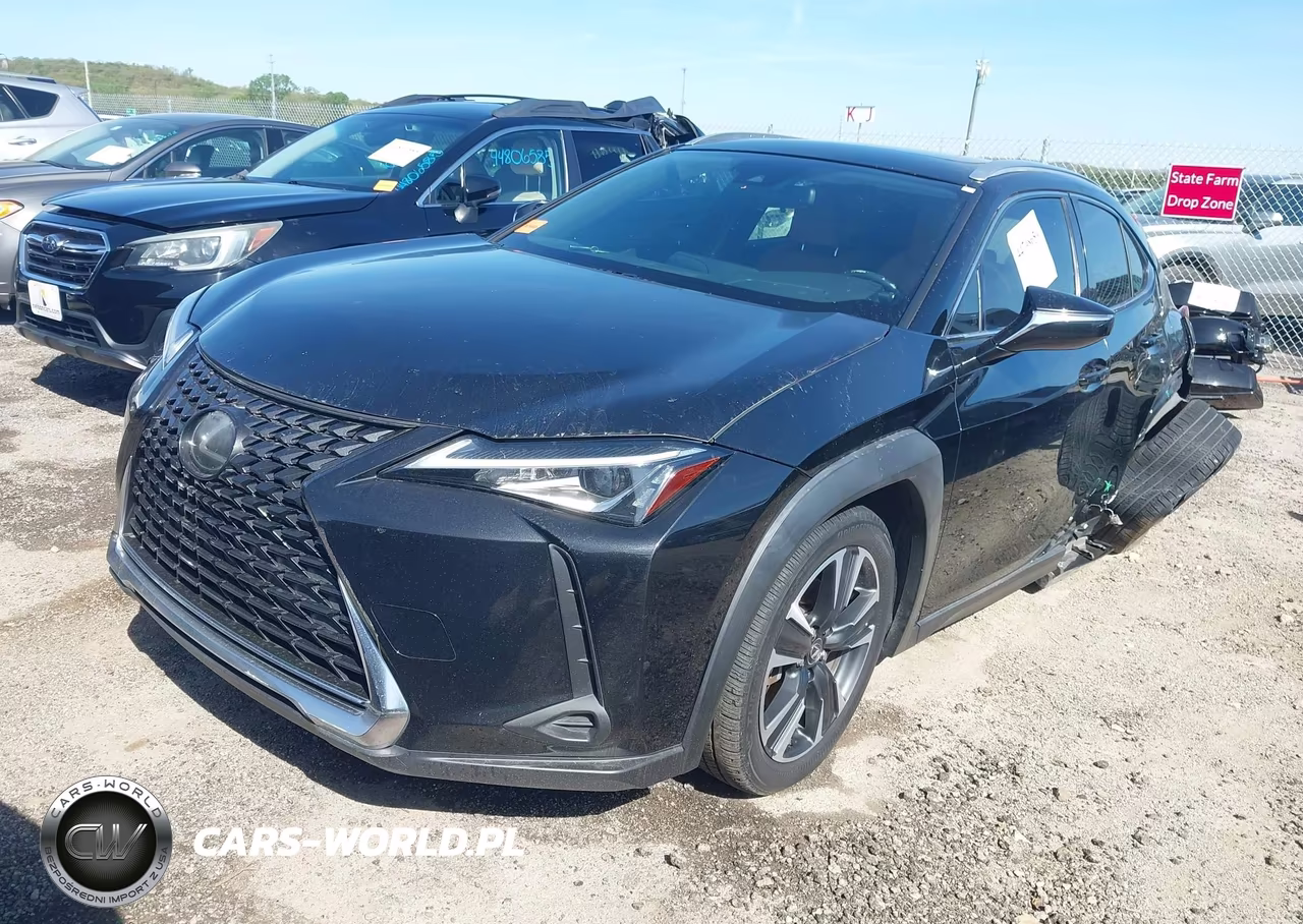 2019 Lexus Ux 200 VIN:JTHY3JBH3K2000941 - 2