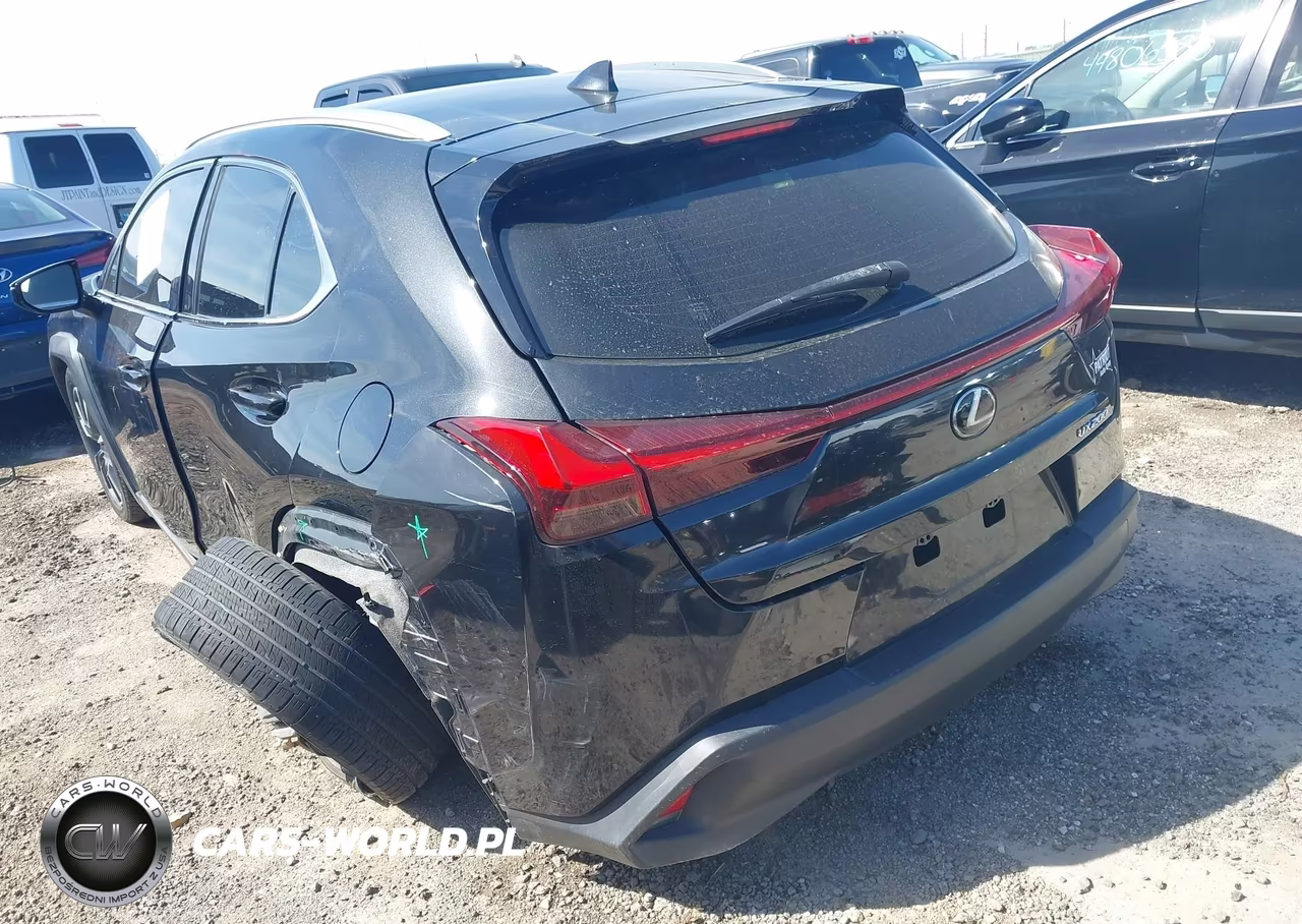 2019 Lexus Ux 200 VIN:JTHY3JBH3K2000941 - 3