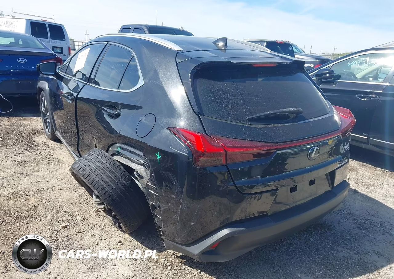 2019 Lexus Ux 200 VIN:JTHY3JBH3K2000941 - 6
