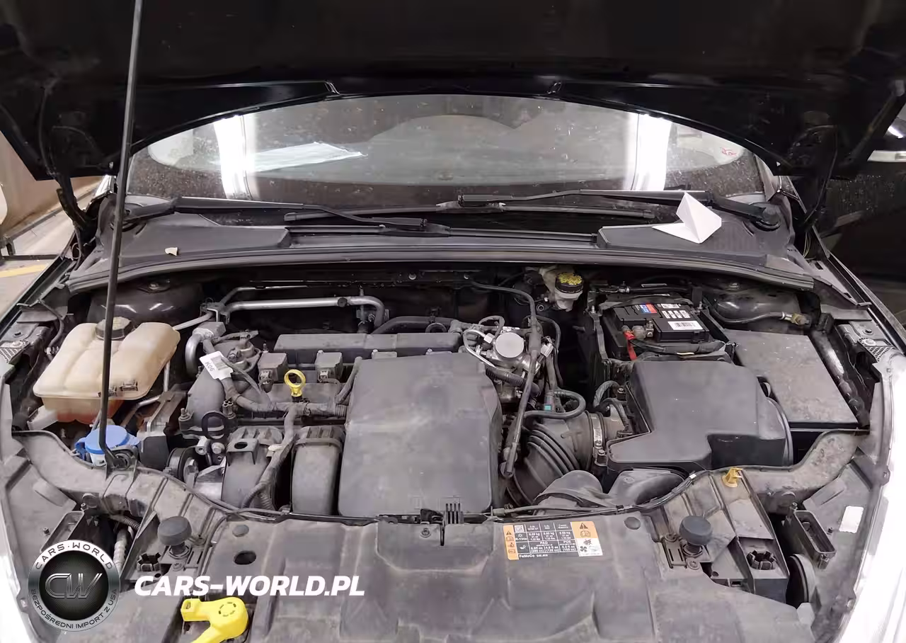 2016 Ford Focus Se VIN:1FADP3F24GL395774 - 10