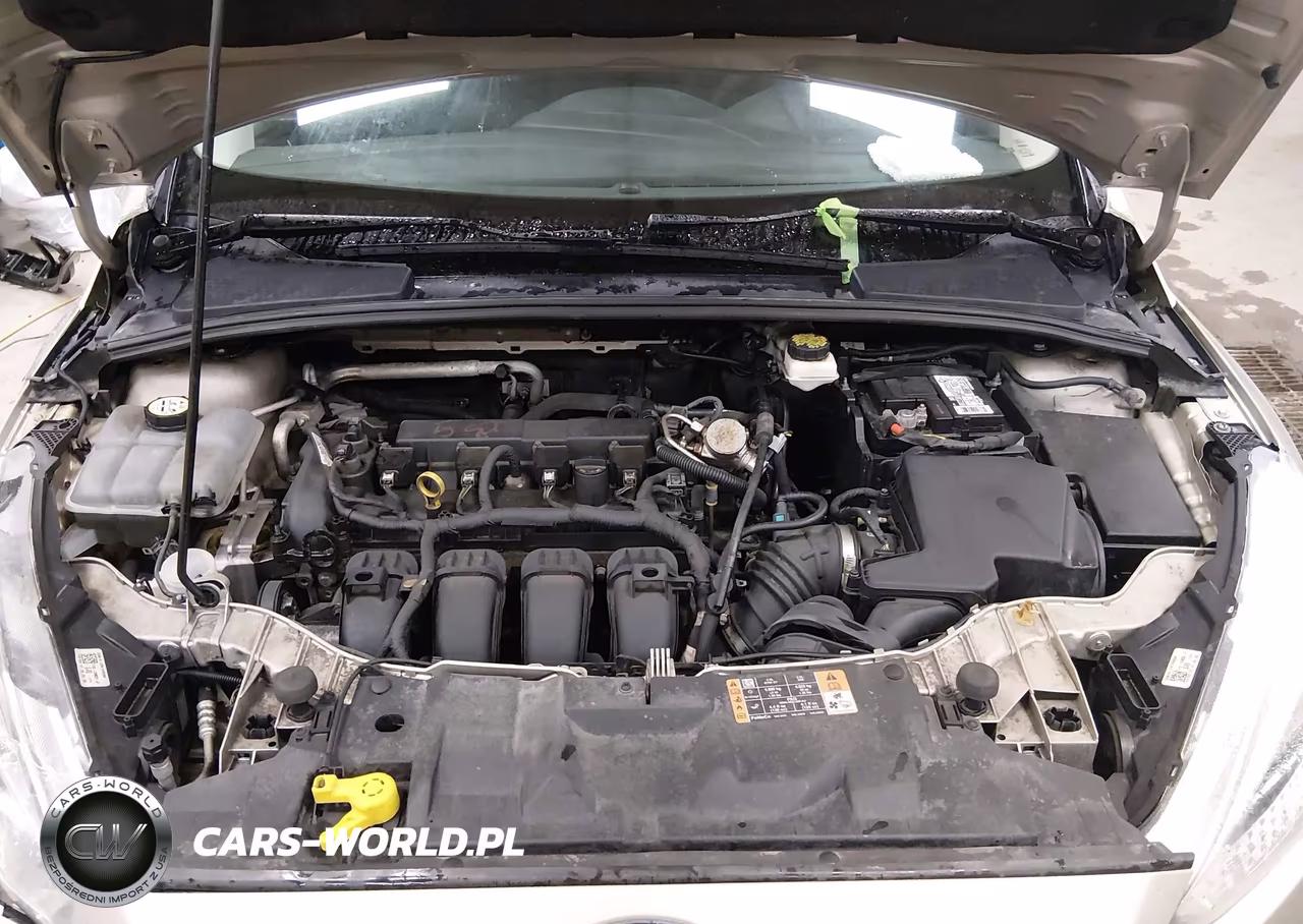 2018 Ford Focus Se VIN:1FADP3F26JL231515 - 10