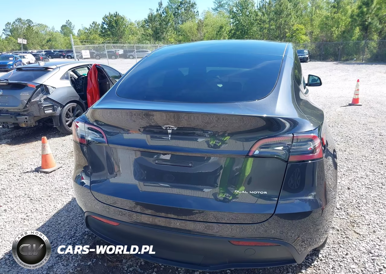 2024 Tesla Model Y Long Range Dual Motor All-Wheel Drive VIN:7SAYGDEE7RA252823 - 17