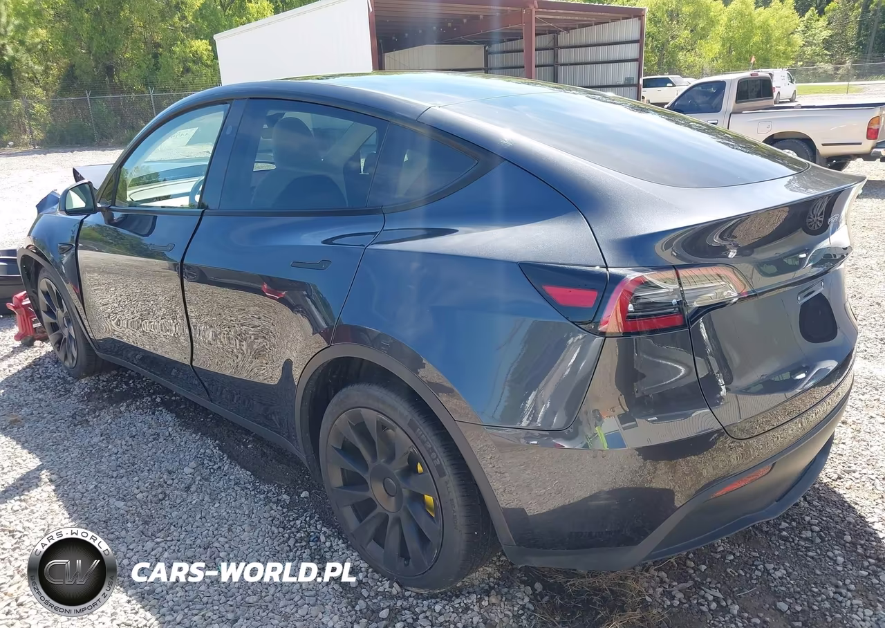 2024 Tesla Model Y Long Range Dual Motor All-Wheel Drive VIN:7SAYGDEE7RA252823 - 3