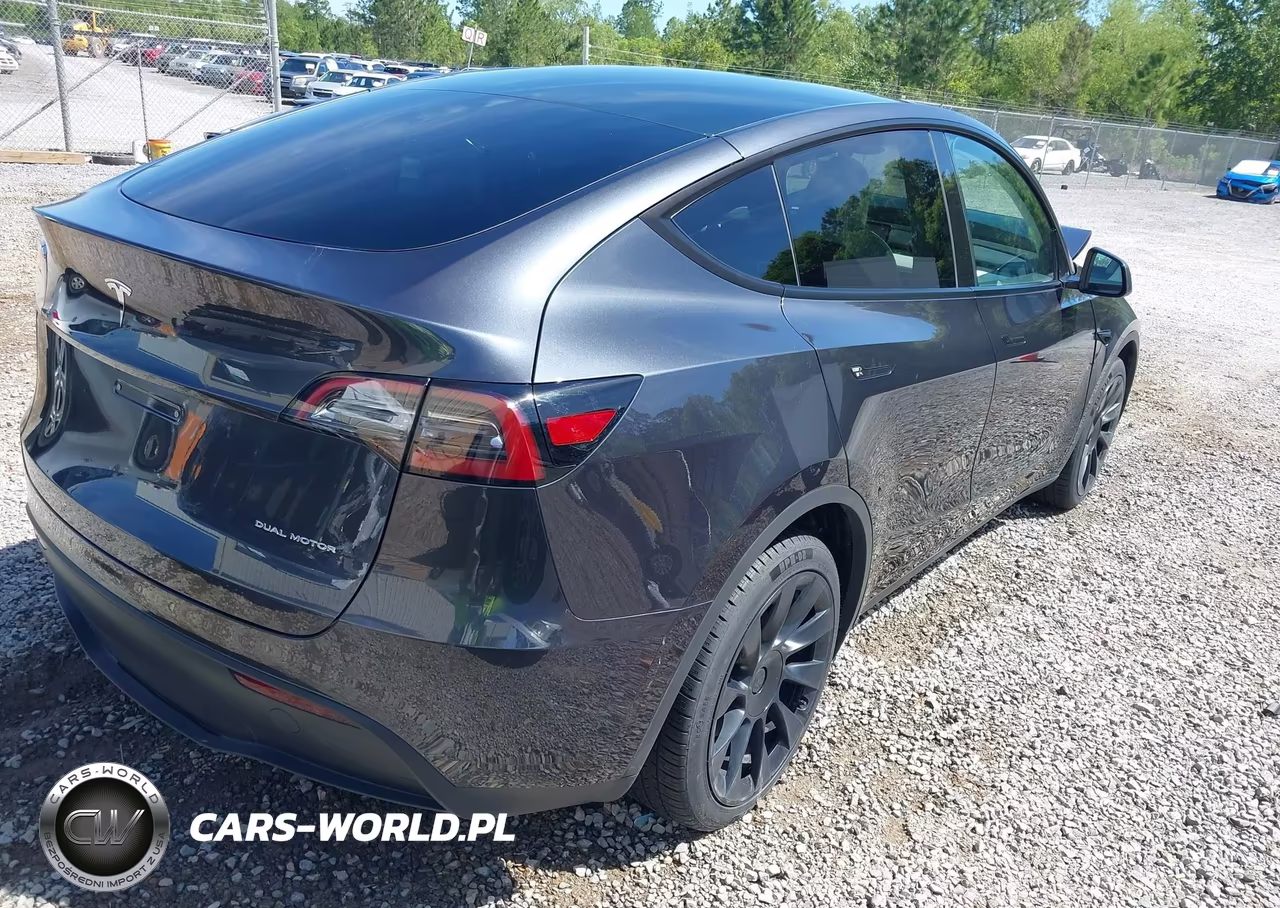 2024 Tesla Model Y Long Range Dual Motor All-Wheel Drive VIN:7SAYGDEE7RA252823 - 4
