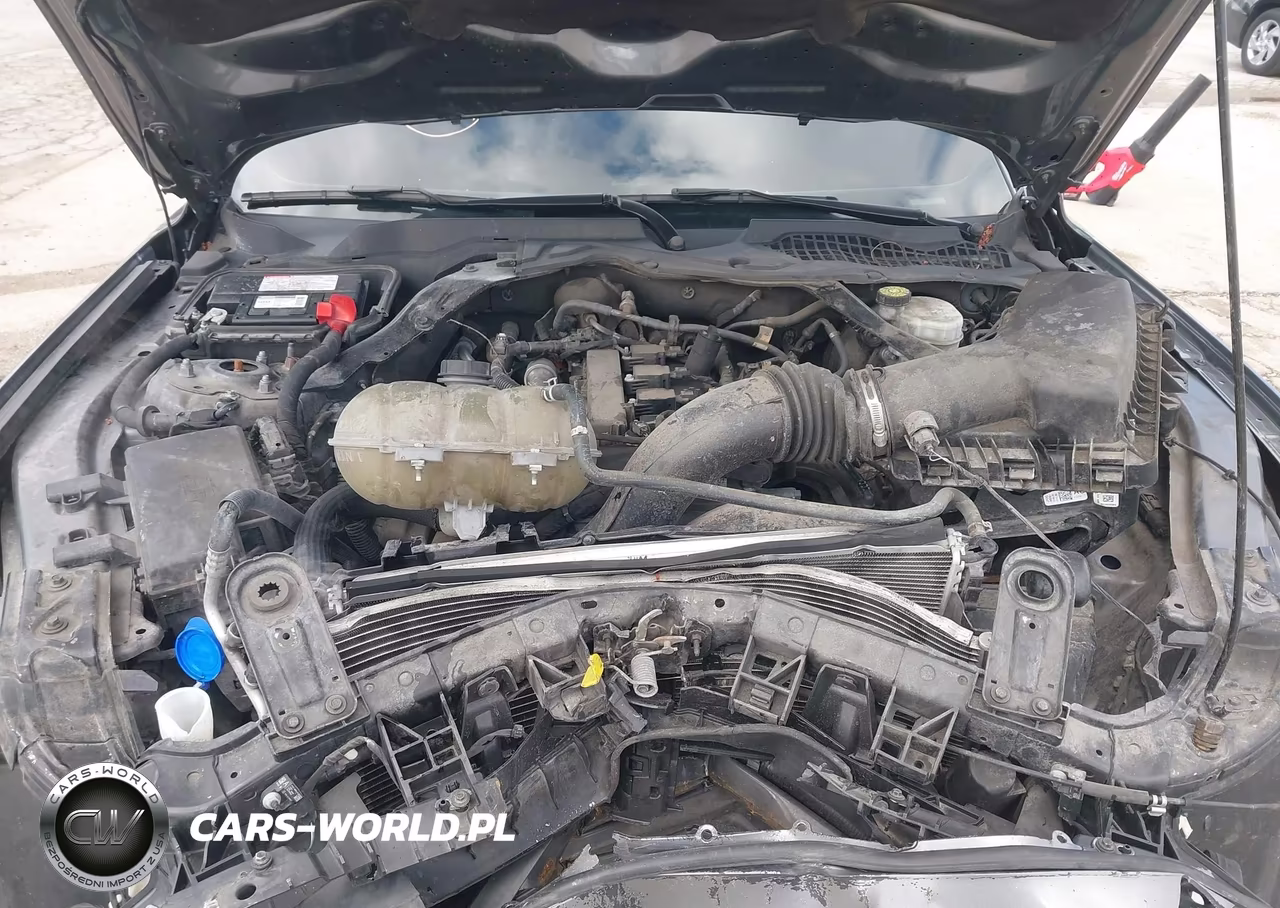 2021 Ford Mustang Ecoboost Premium VIN:1FATP8UH1M5103840 - 10