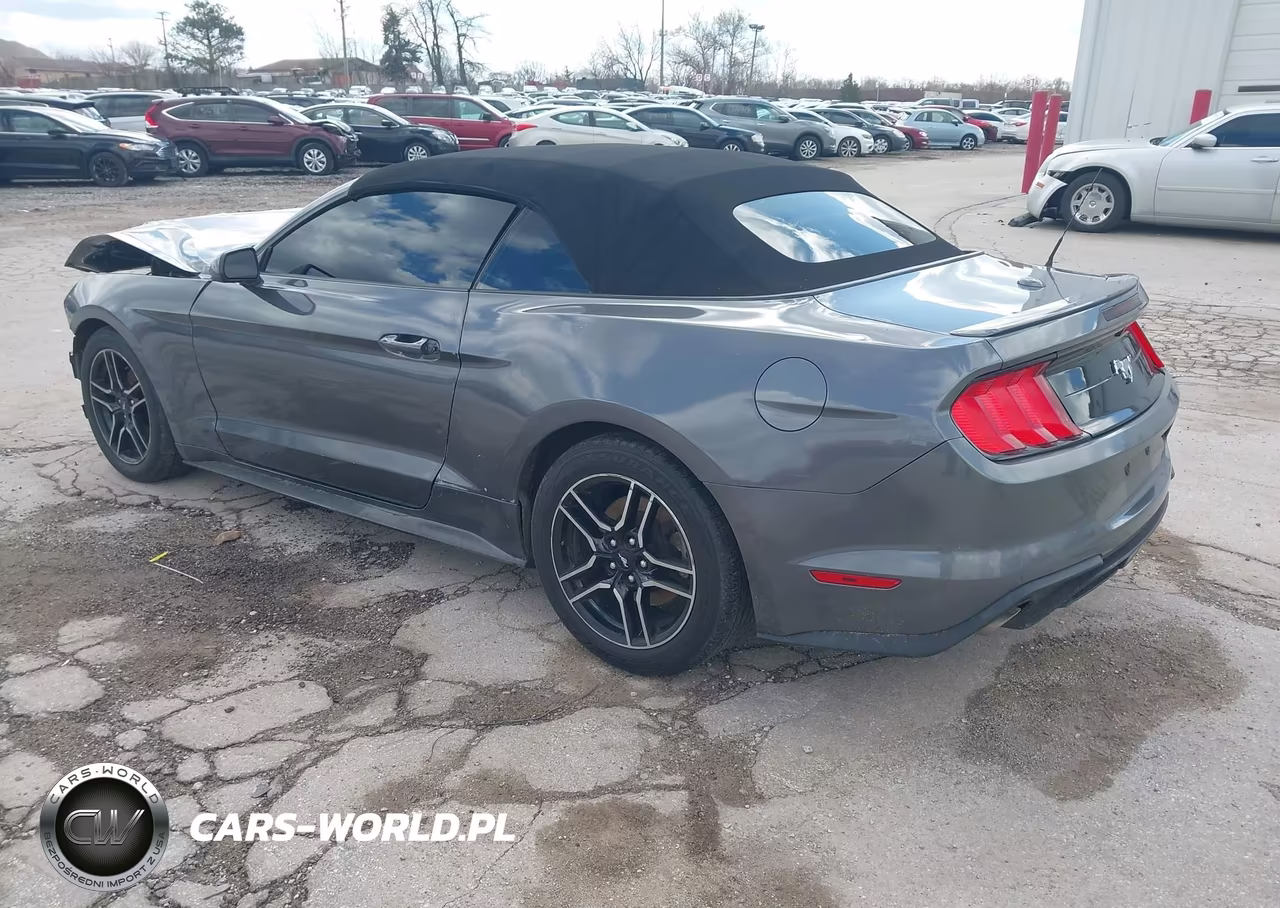 2021 Ford Mustang Ecoboost Premium VIN:1FATP8UH1M5103840 - 3
