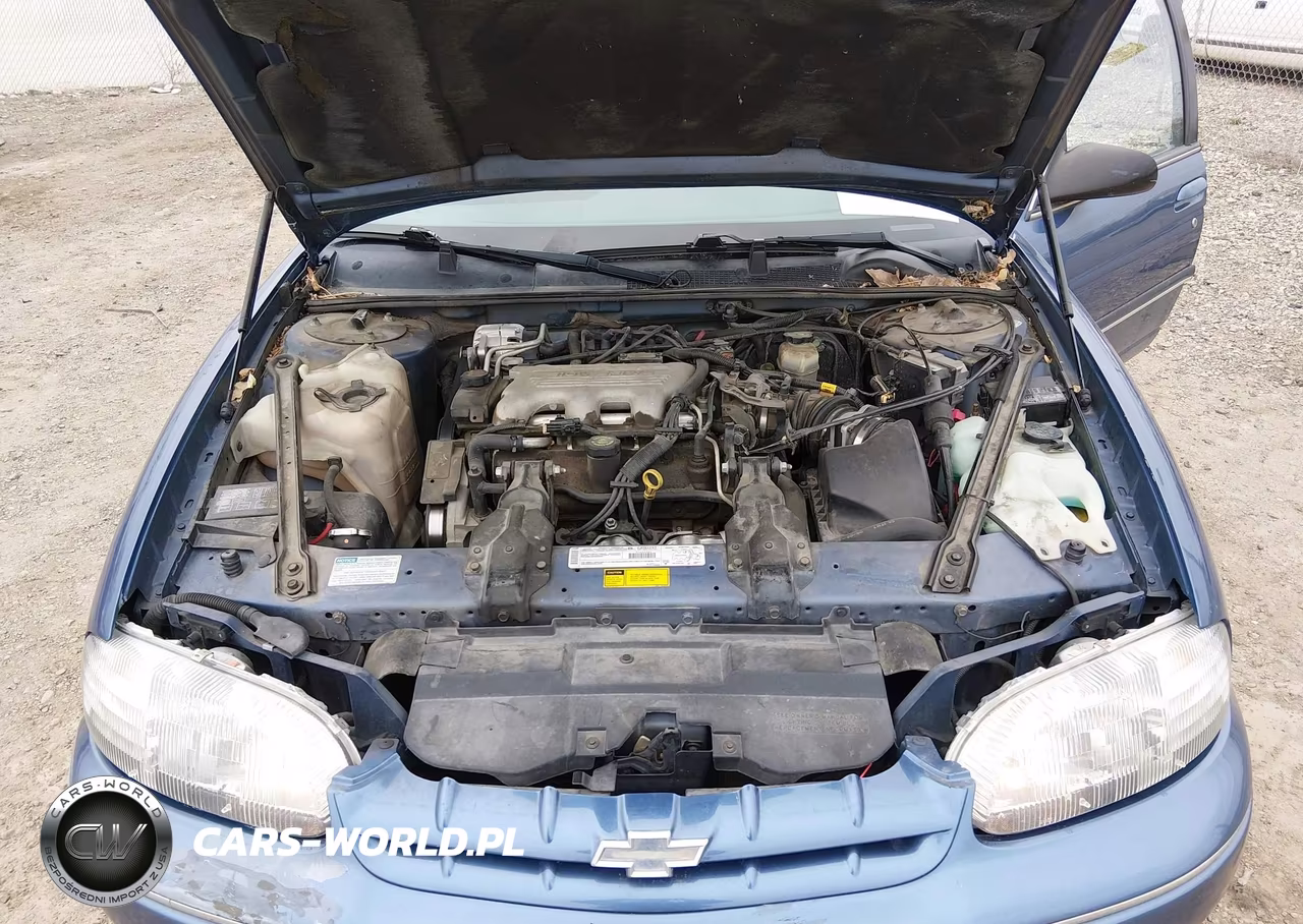 1998 Chevrolet Lumina VIN:2G1WL52M0W1132633 - 10