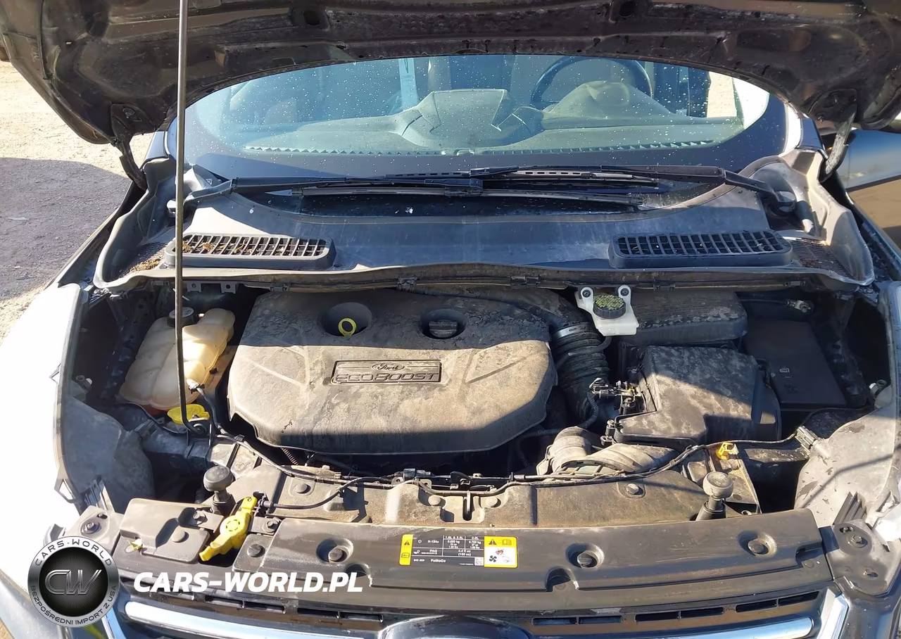 2013 Ford Escape Sel VIN:1FMCU0H99DUC34250 - 10