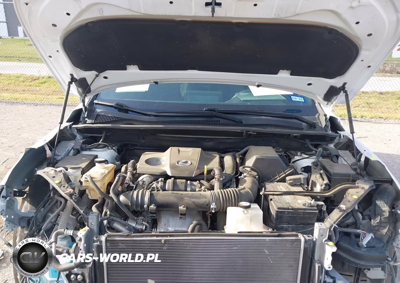 2020 Lexus Nx 300 F Sport VIN:JTJSARBZ7L5011605 - 10