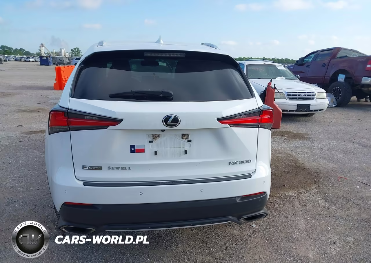 2020 Lexus Nx 300 F Sport VIN:JTJSARBZ7L5011605 - 16