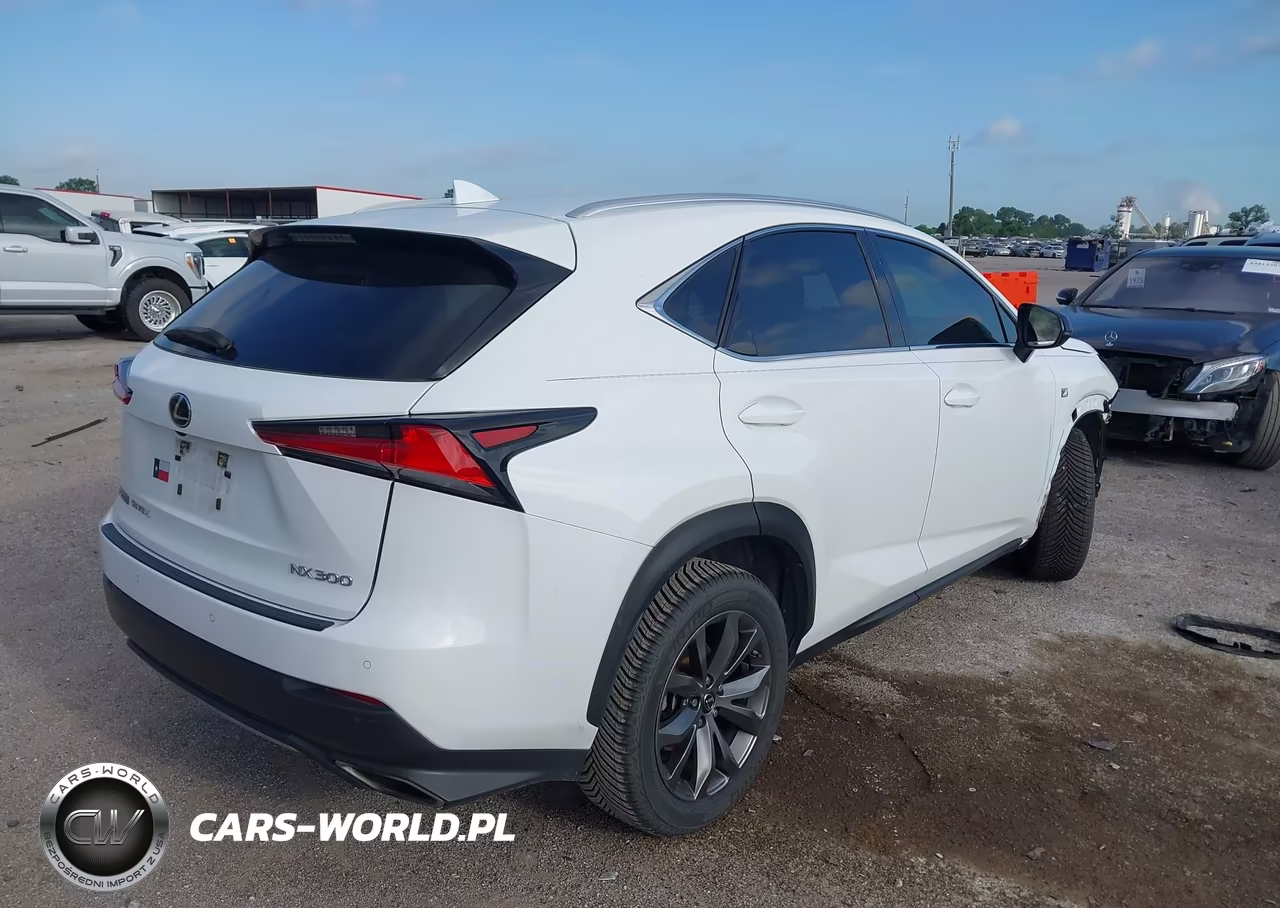 2020 Lexus Nx 300 F Sport VIN:JTJSARBZ7L5011605 - 4