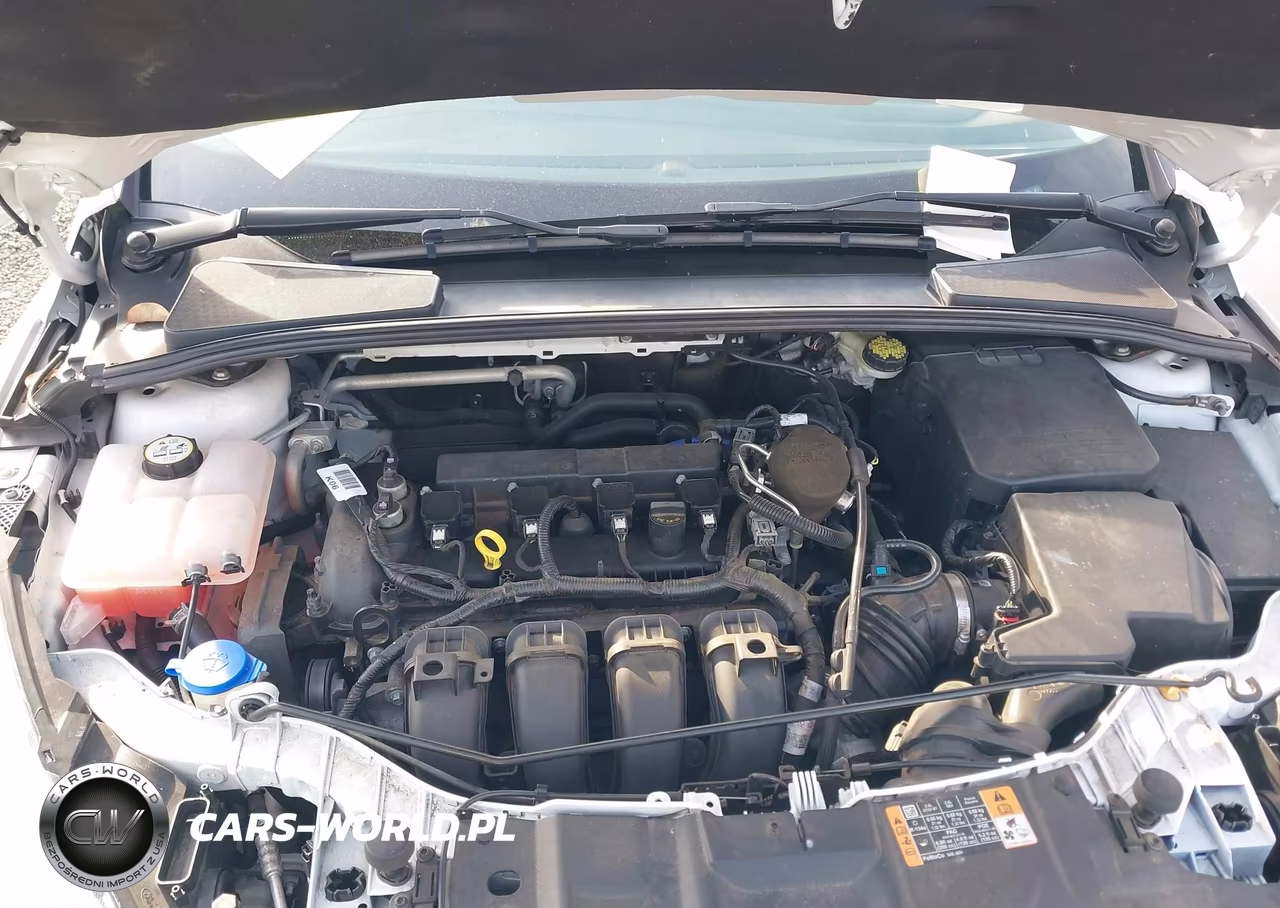 2016 Ford Focus Se VIN:1FADP3F27GL294275 - 10